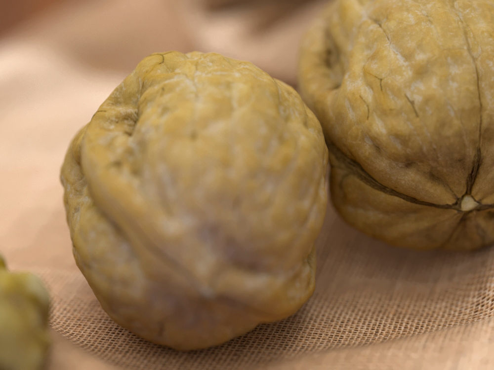 Walnut - Closed and Peeled half 3D model_2