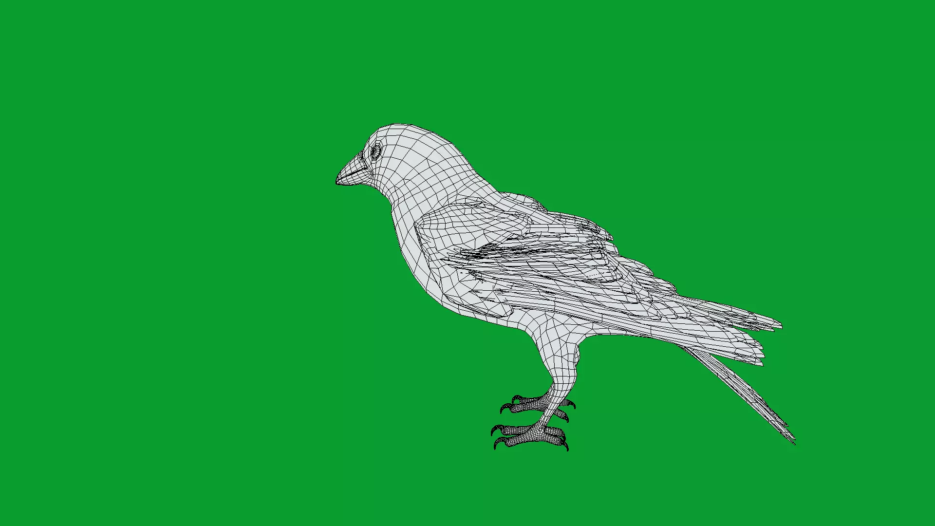 Eurasian Tree Sparrow Low-poly 3D model_10