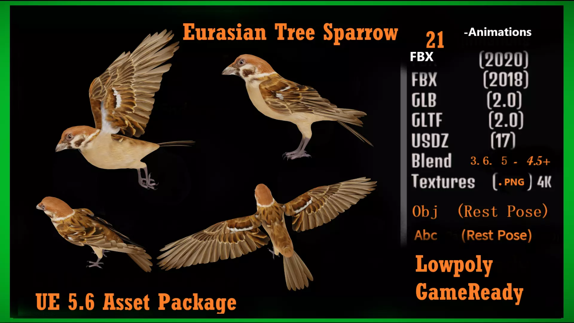 Eurasian Tree Sparrow Low-poly 3D model_3