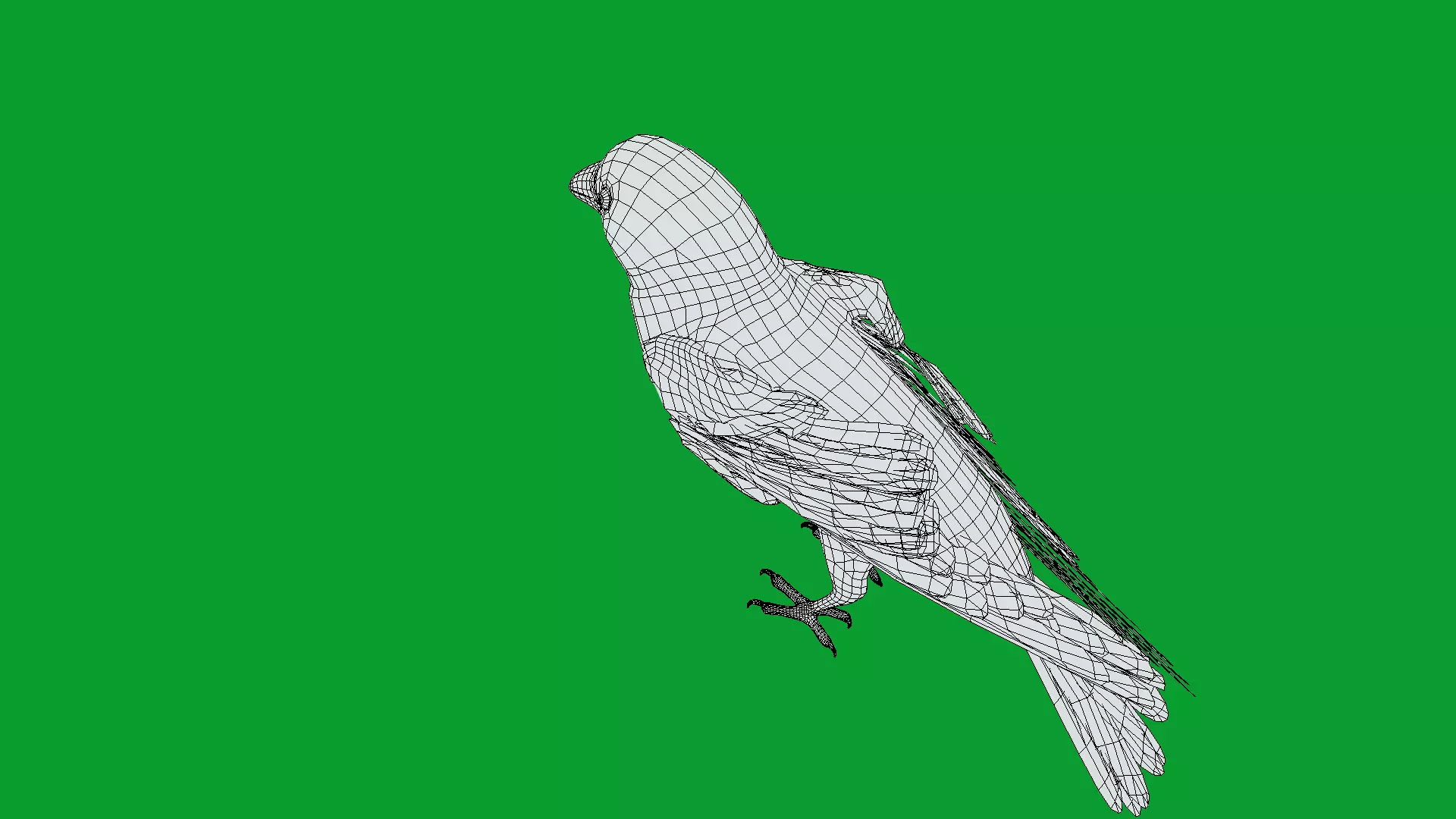 Eurasian Tree Sparrow Low-poly 3D model_13