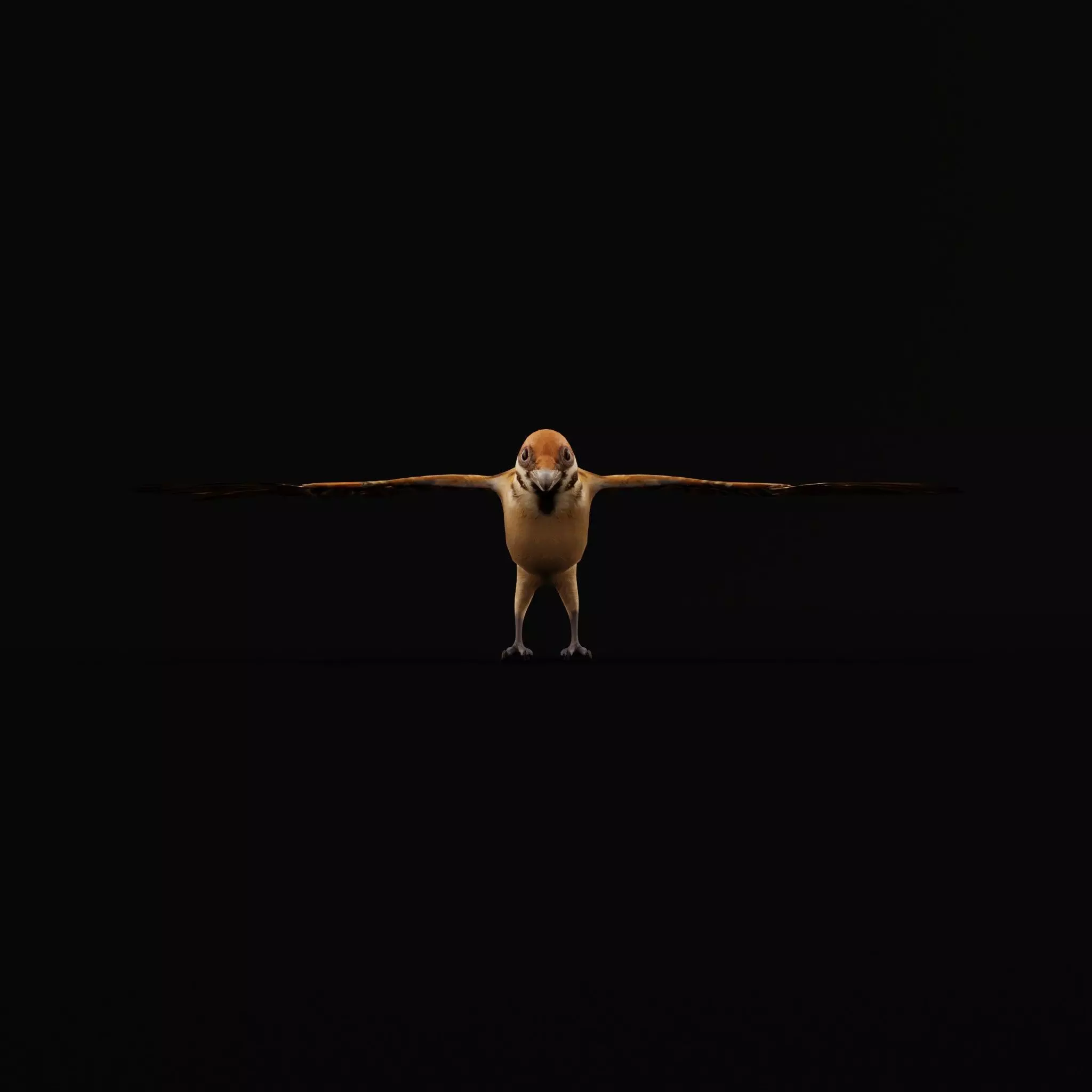 Eurasian Tree Sparrow Low-poly 3D model_47