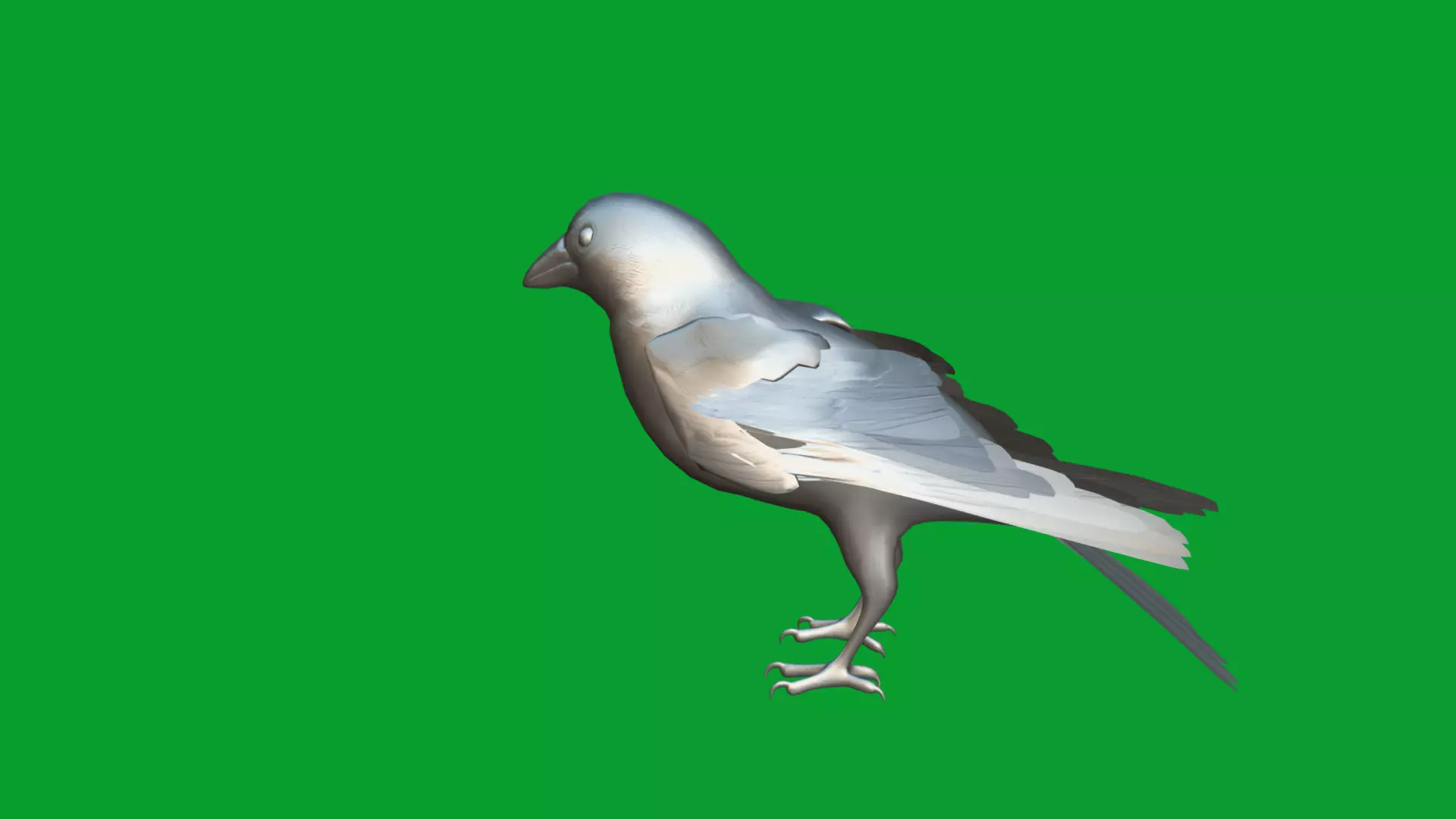 Eurasian Tree Sparrow Low-poly 3D model_33