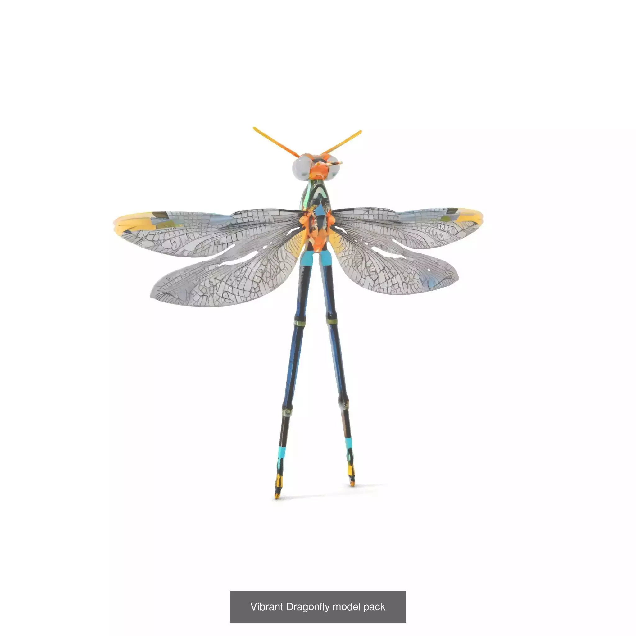 Insectoid Realms Metallic Wonders Collection _51