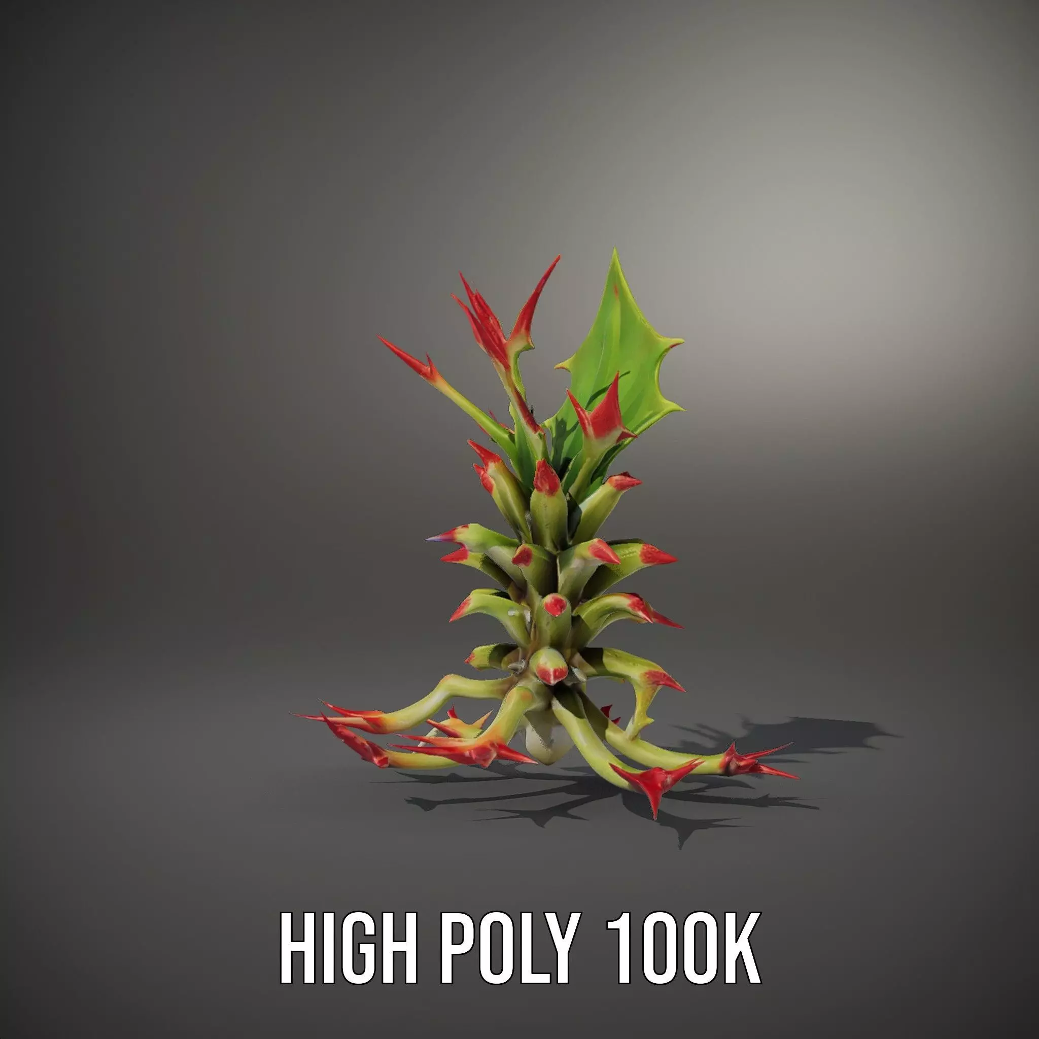 Exotic Spiky Plant model pack Low-poly 3D model_8