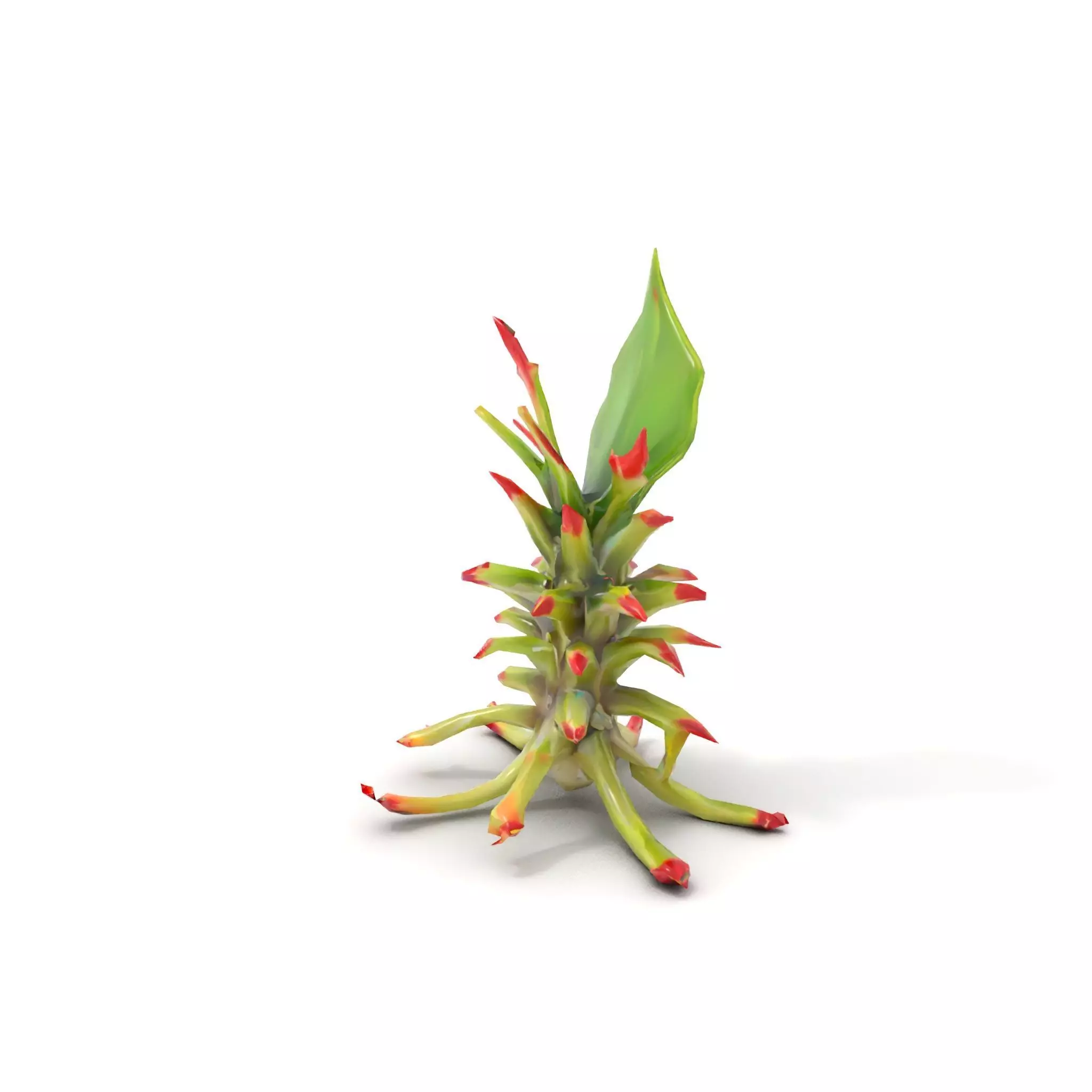Exotic Spiky Plant model pack Low-poly 3D model_17