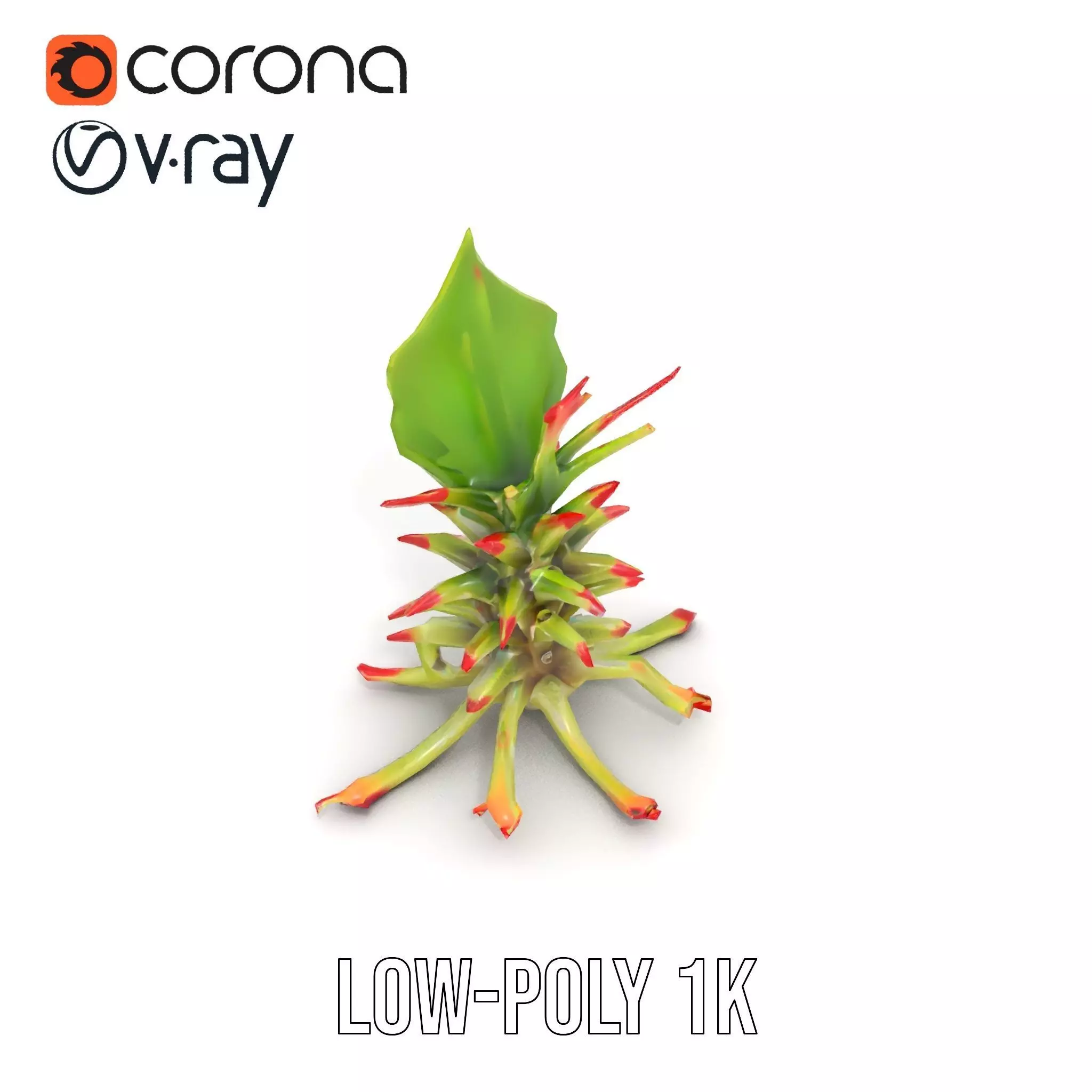 Exotic Spiky Plant model pack Low-poly 3D model_7