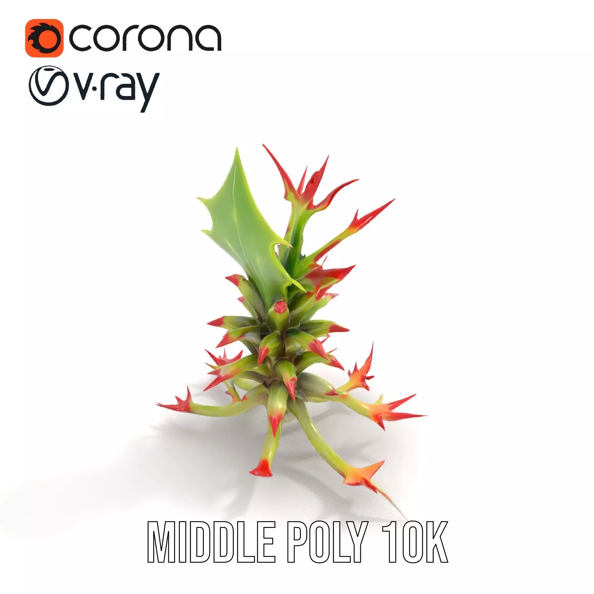 Exotic Spiky Plant model pack Low-poly 3D model_5