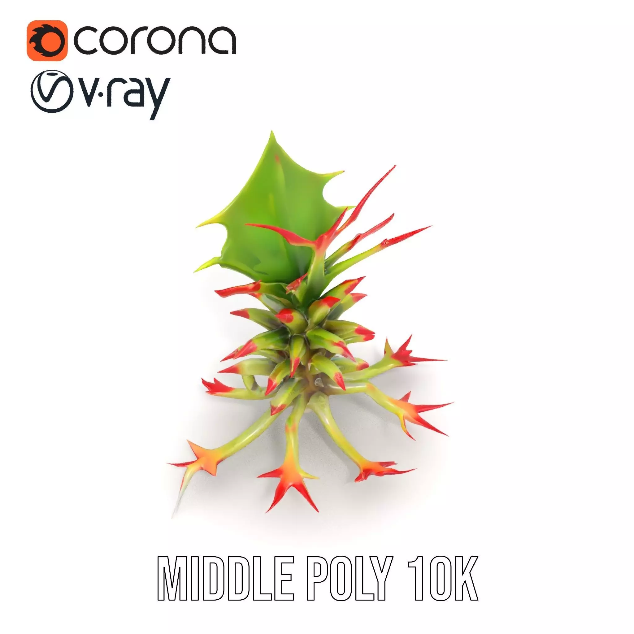 Exotic Spiky Plant model pack Low-poly 3D model_13