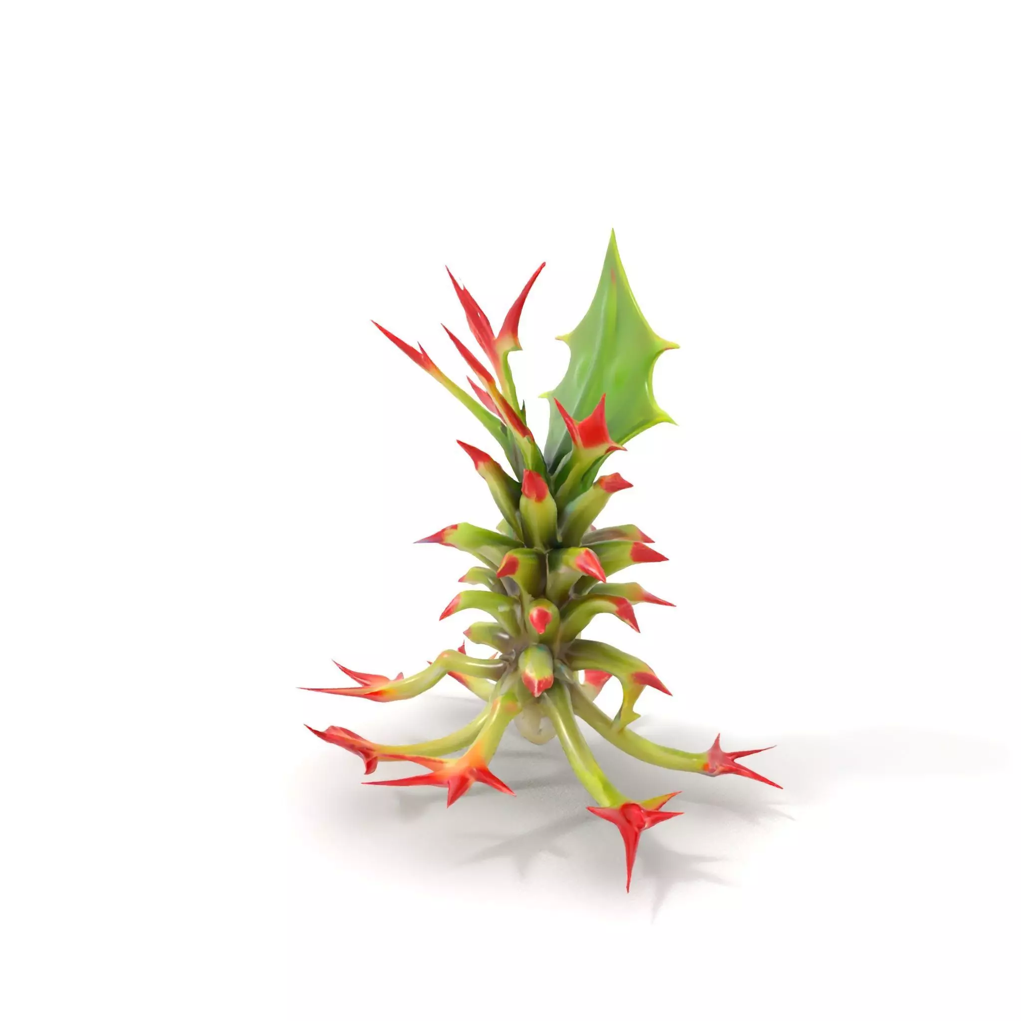 Exotic Spiky Plant model pack Low-poly 3D model_0
