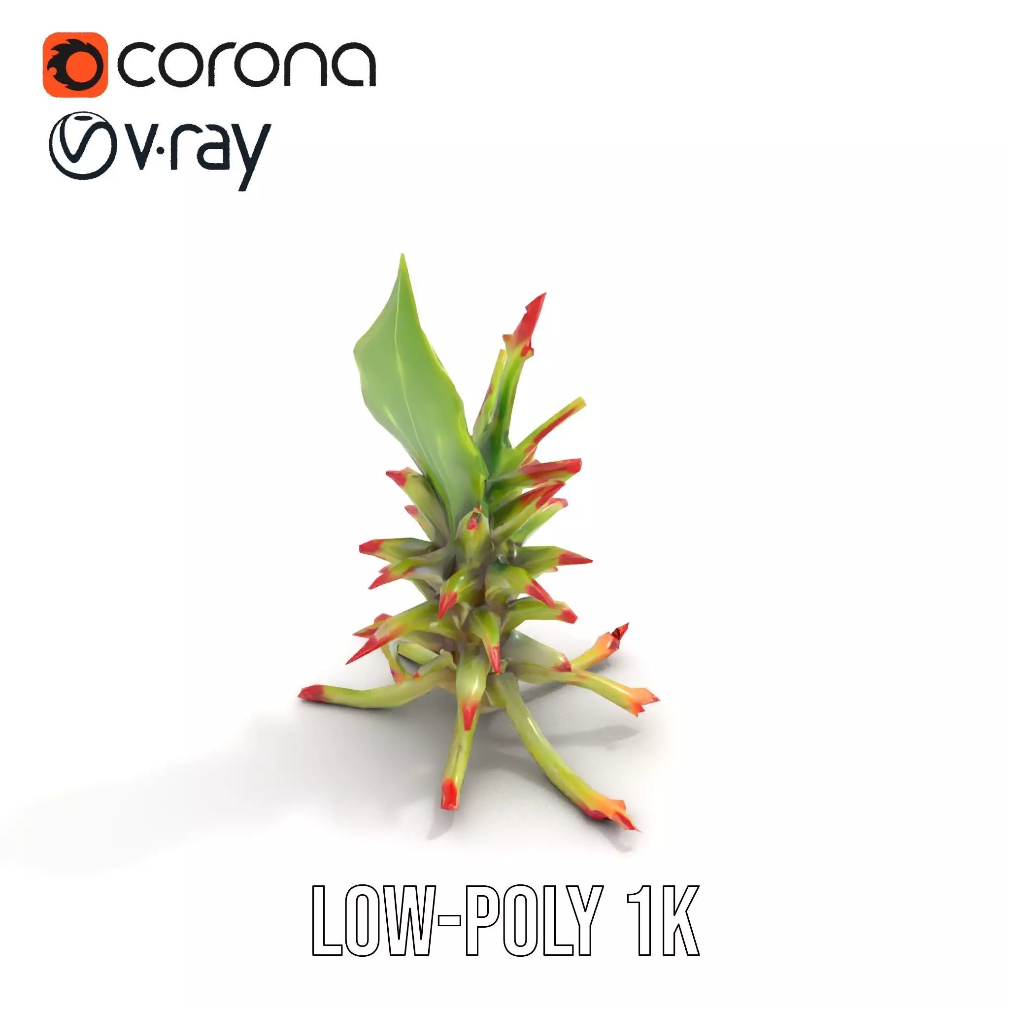 Exotic Spiky Plant model pack Low-poly 3D model_12
