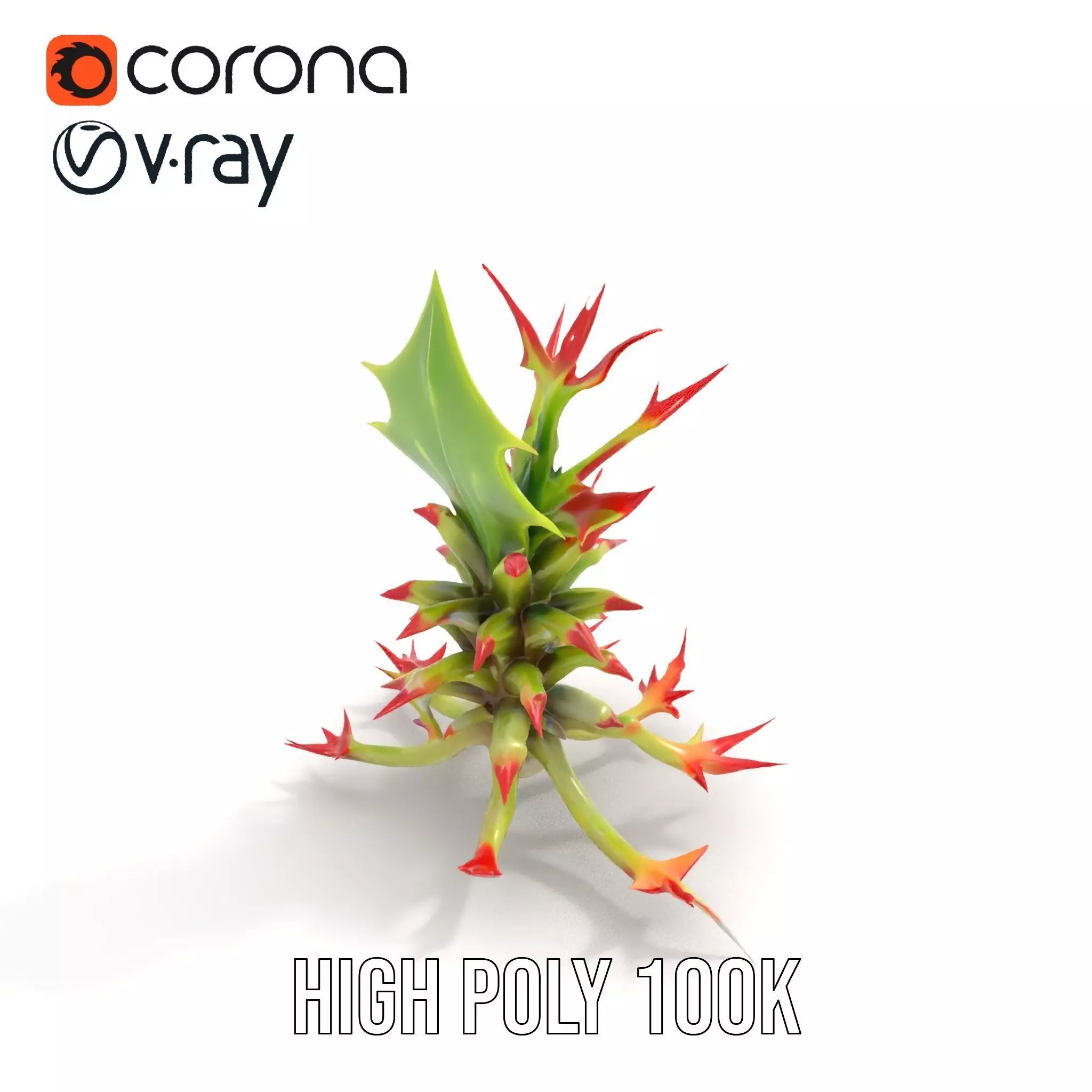 Exotic Spiky Plant model pack Low-poly 3D model_15