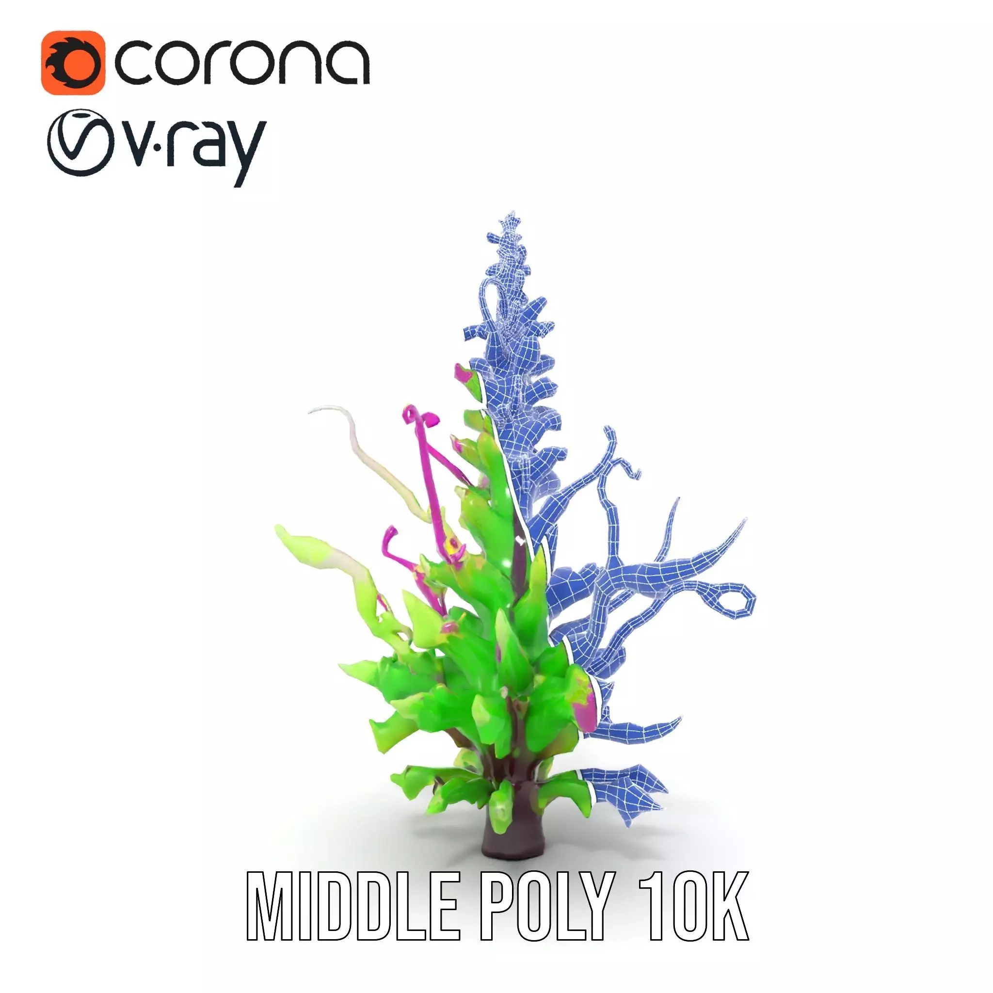 Vivid Fern Flora model pack Low-poly 3D model_30