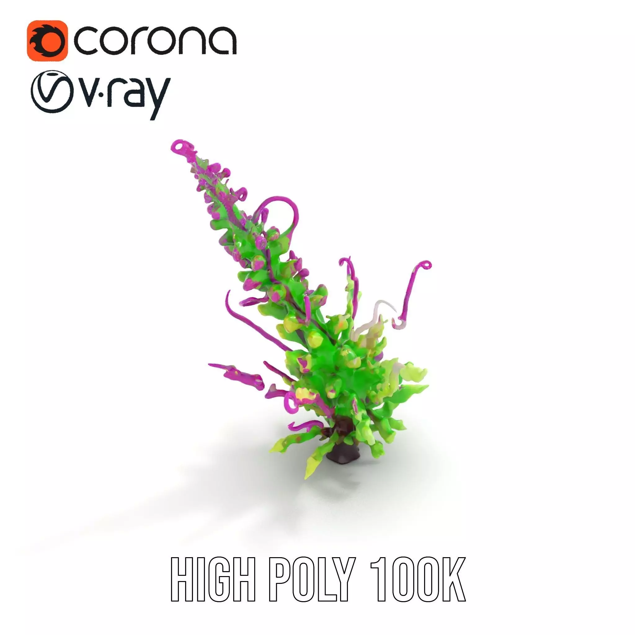 Vivid Fern Flora model pack Low-poly 3D model_21