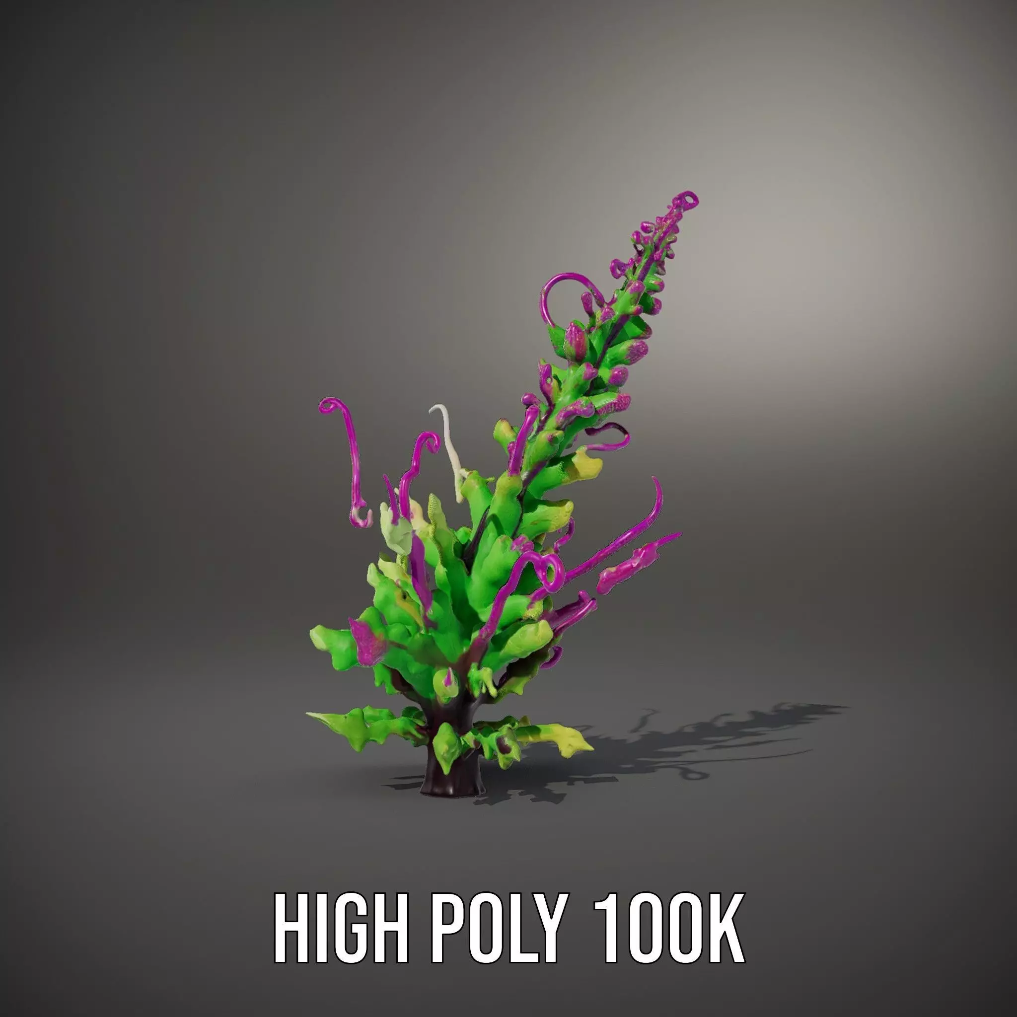 Vivid Fern Flora model pack Low-poly 3D model_8