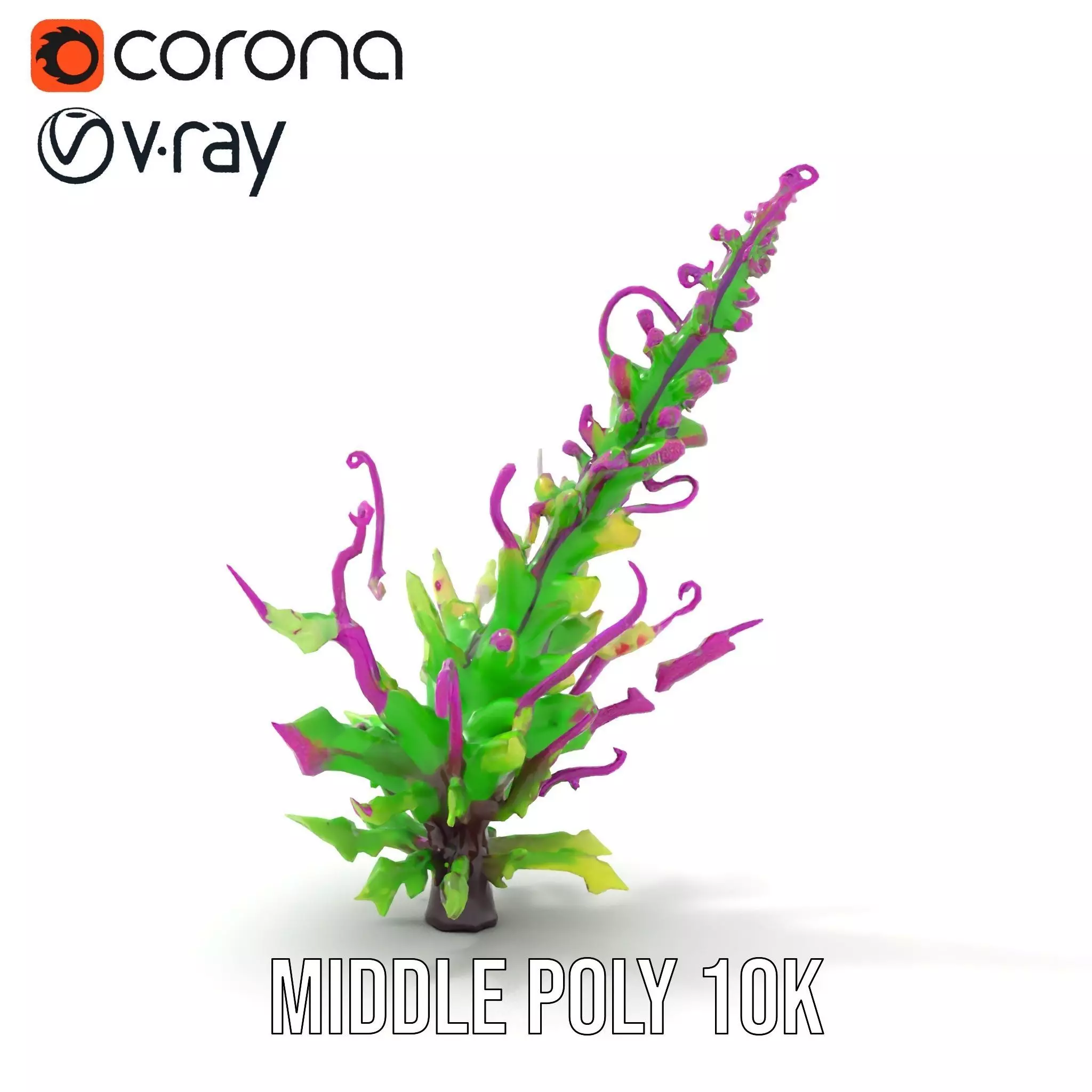 Vivid Fern Flora model pack Low-poly 3D model_5