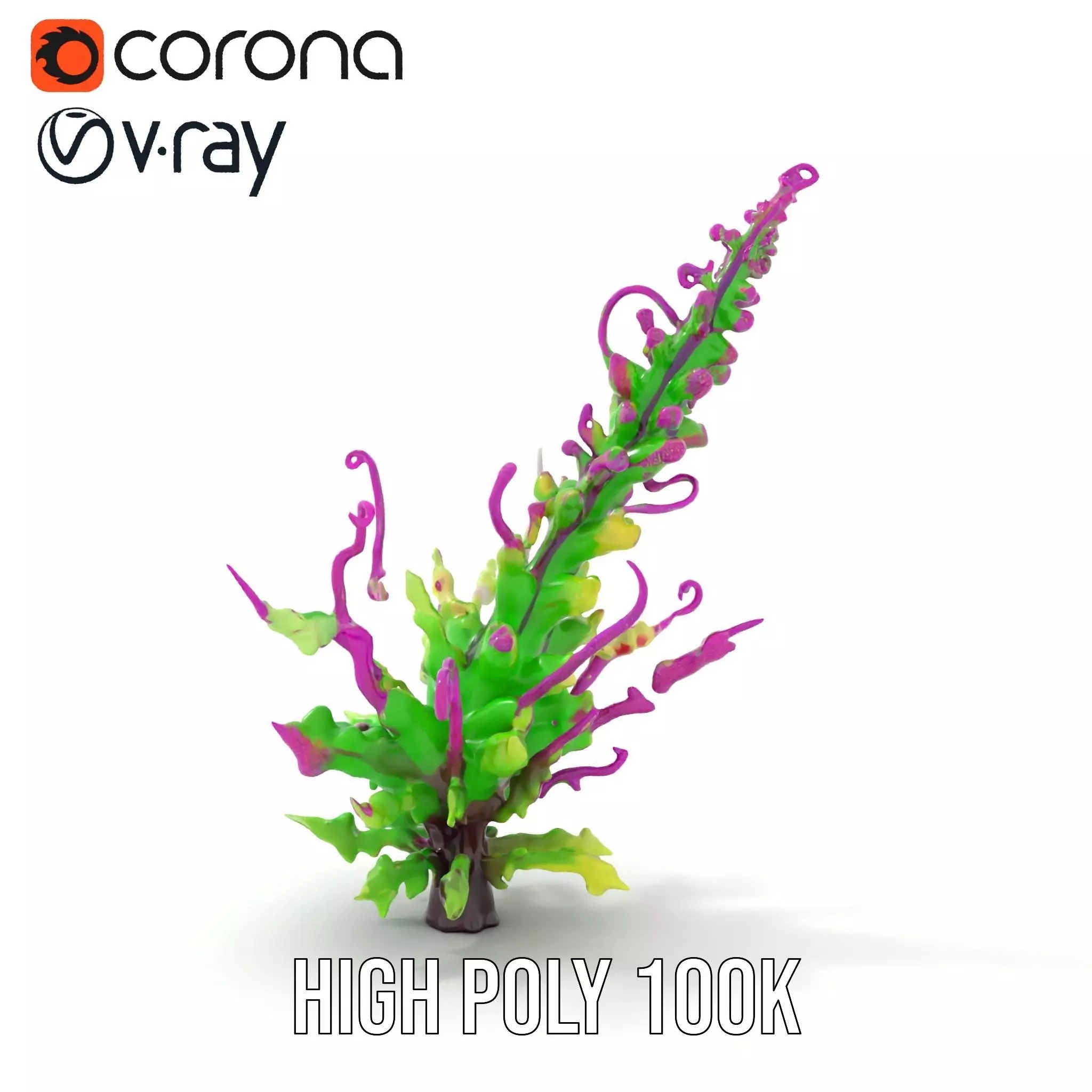 Vivid Fern Flora model pack Low-poly 3D model_18