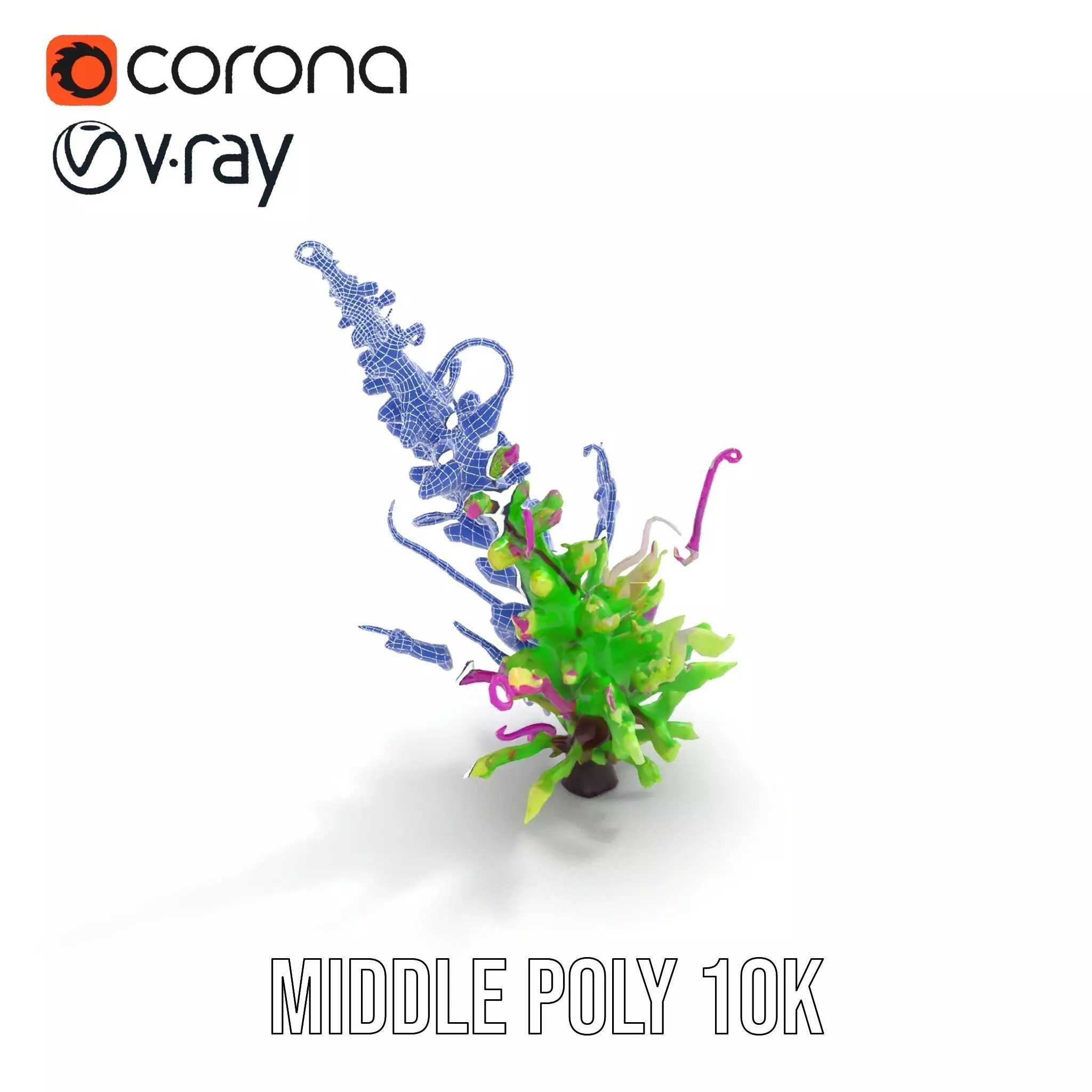 Vivid Fern Flora model pack Low-poly 3D model_27