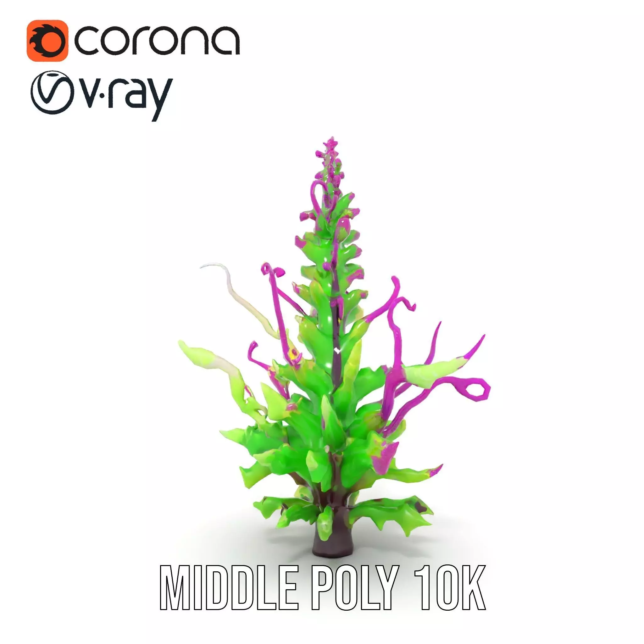 Vivid Fern Flora model pack Low-poly 3D model_19