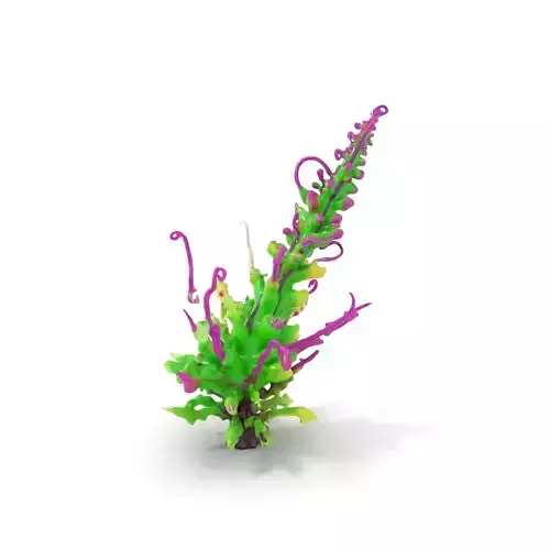 Vivid Fern Flora model pack