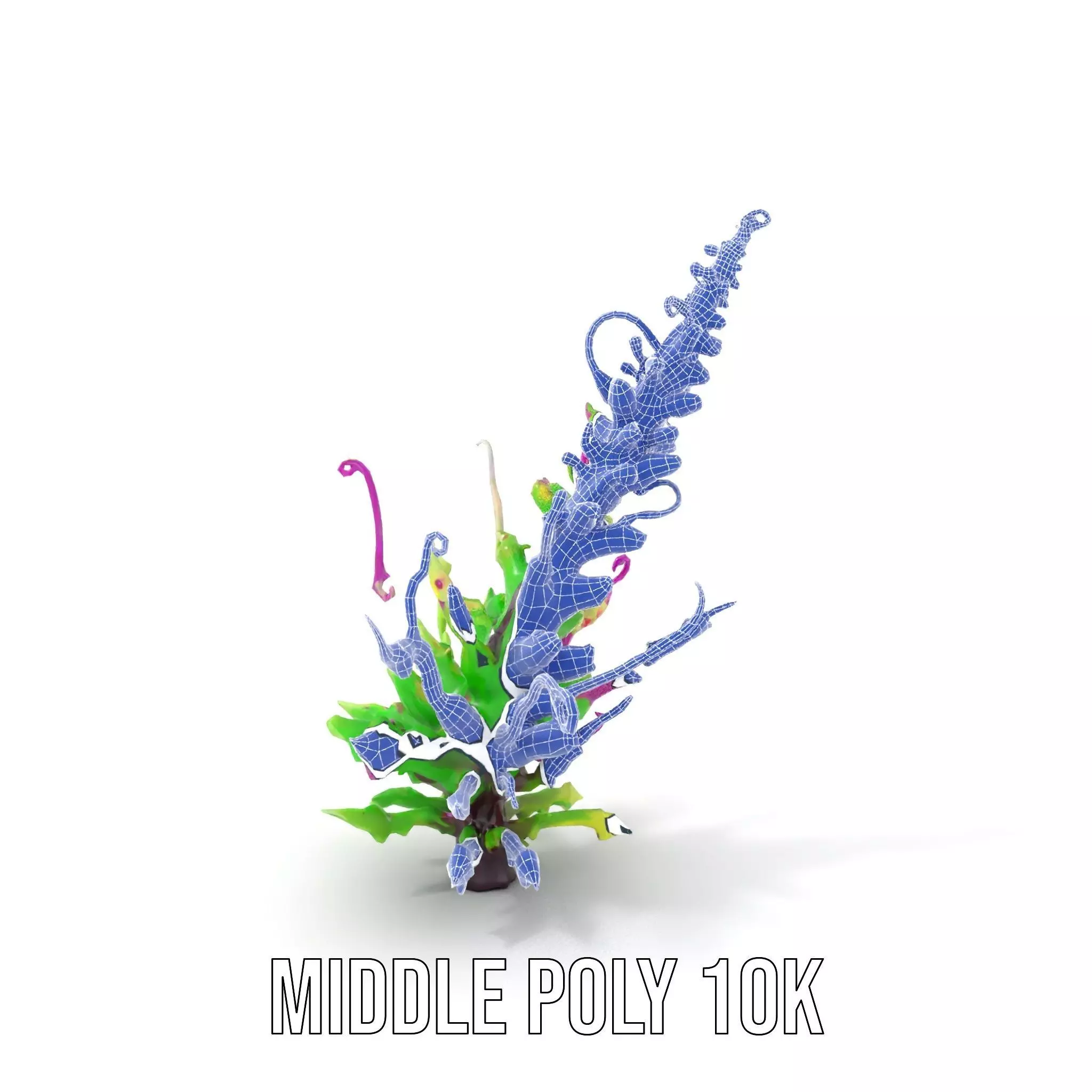 Vivid Fern Flora model pack Low-poly 3D model_16