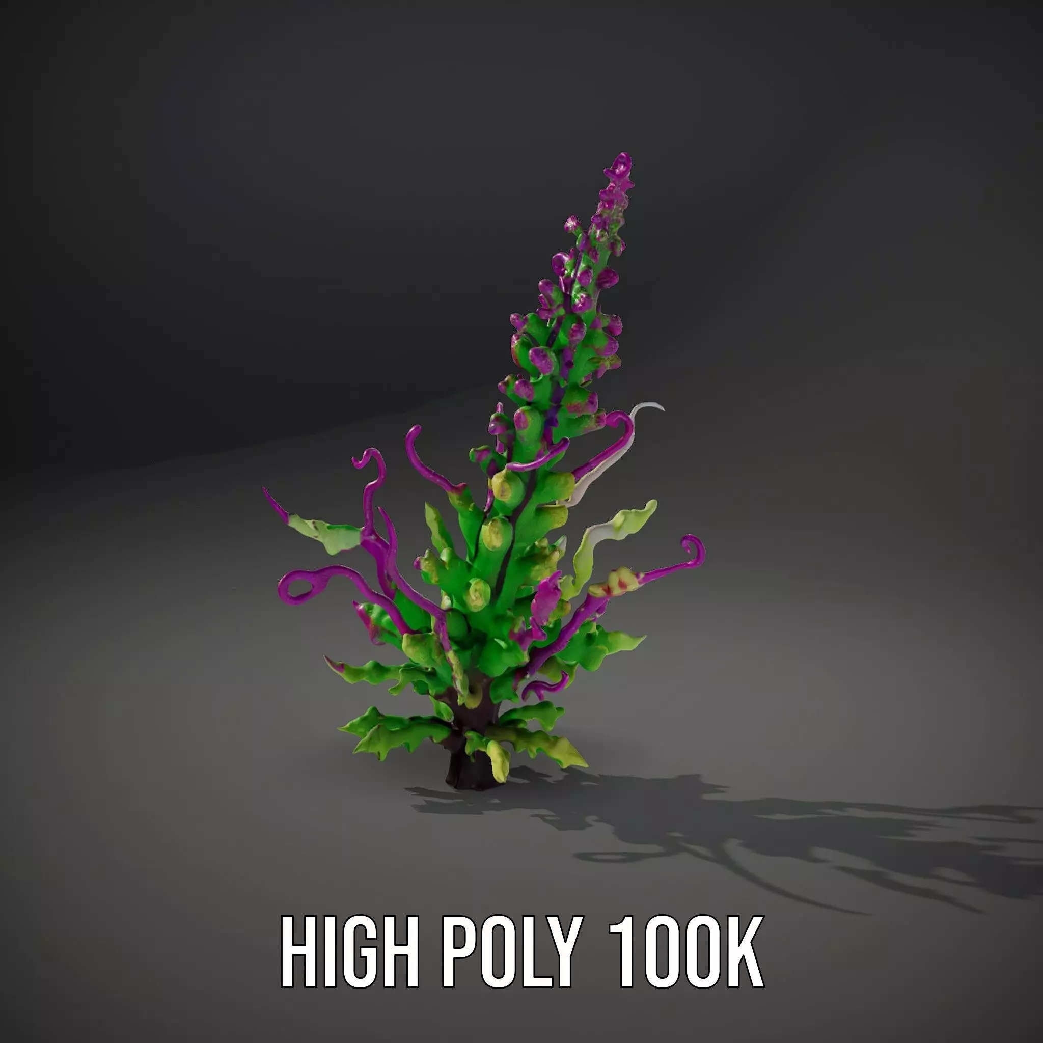 Vivid Fern Flora model pack Low-poly 3D model_10