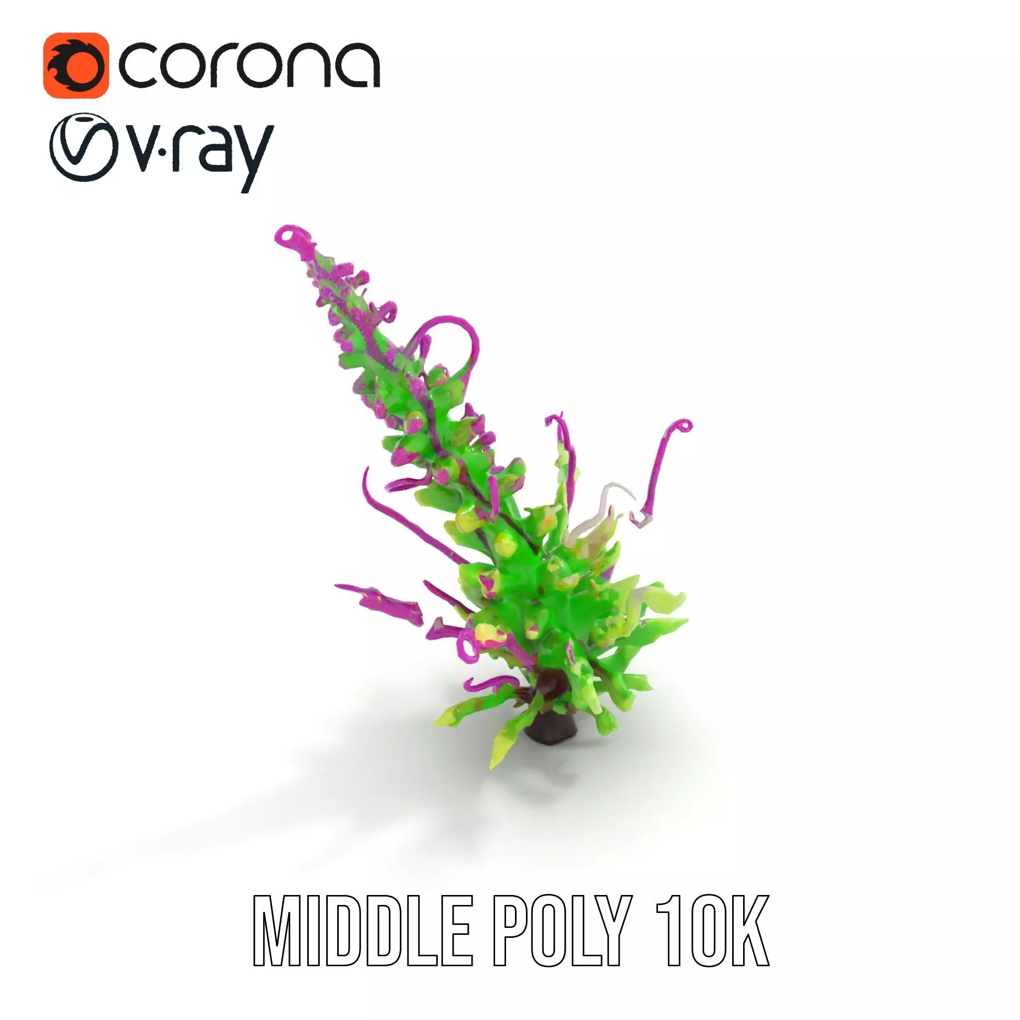 Vivid Fern Flora model pack Low-poly 3D model_11