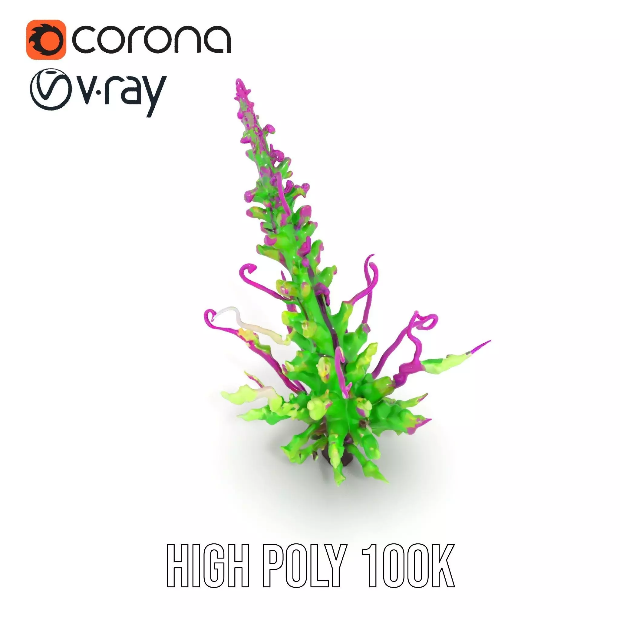 Vivid Fern Flora model pack Low-poly 3D model_15