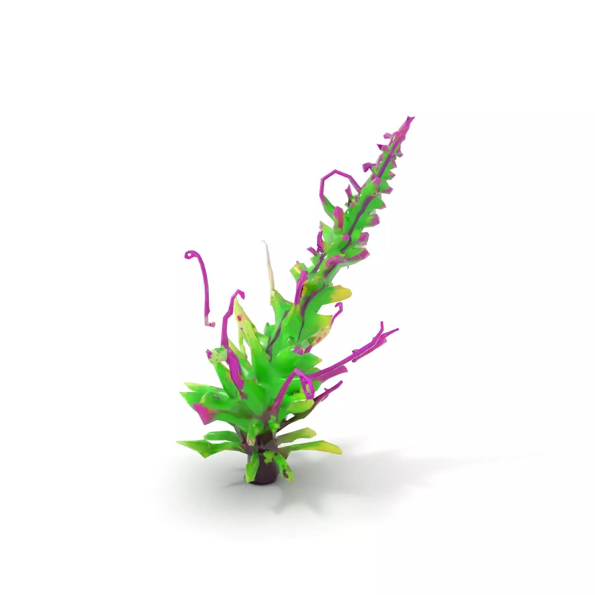 Vivid Fern Flora model pack Low-poly 3D model_12