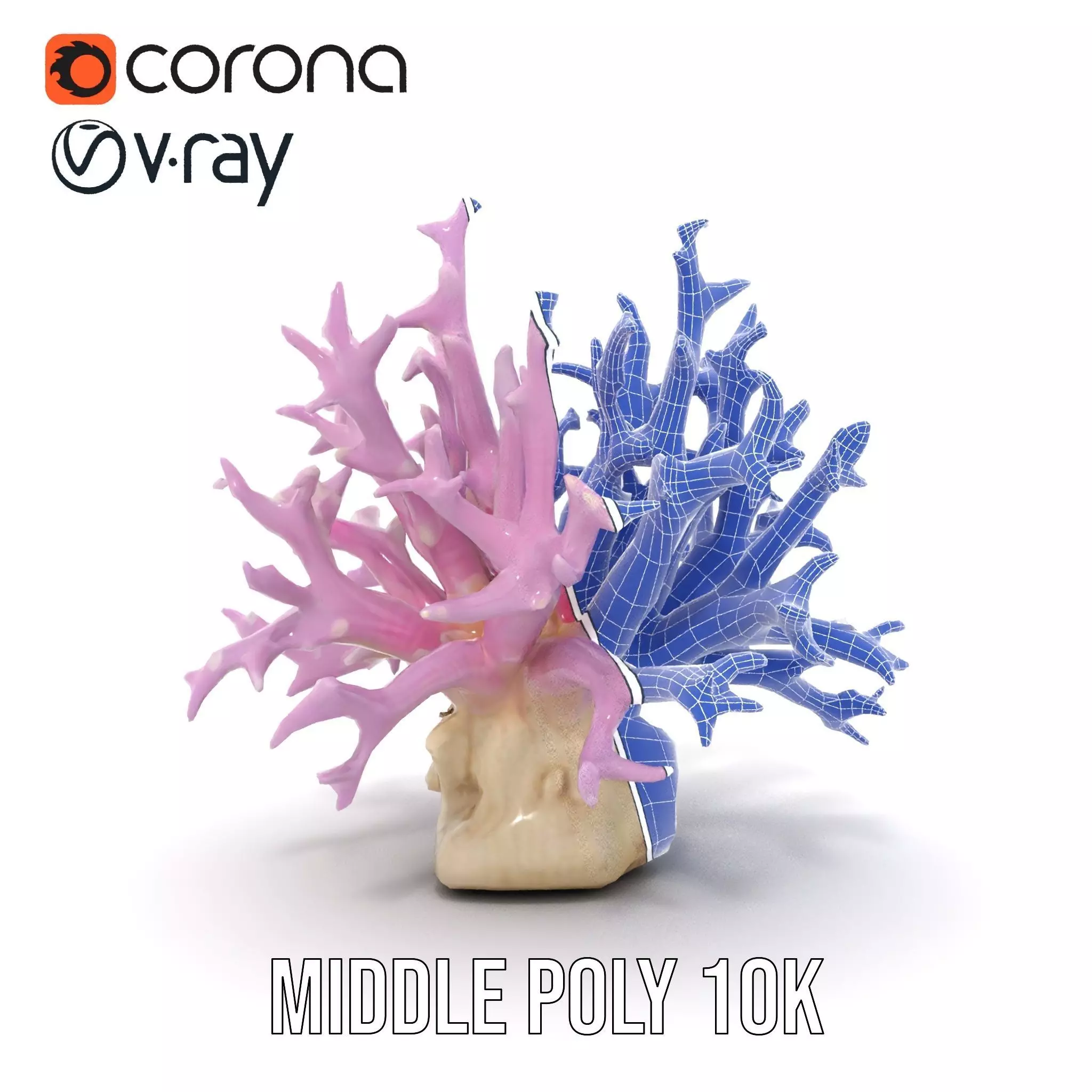 Vibrant Coral Reef model pack Low-poly 3D model_29