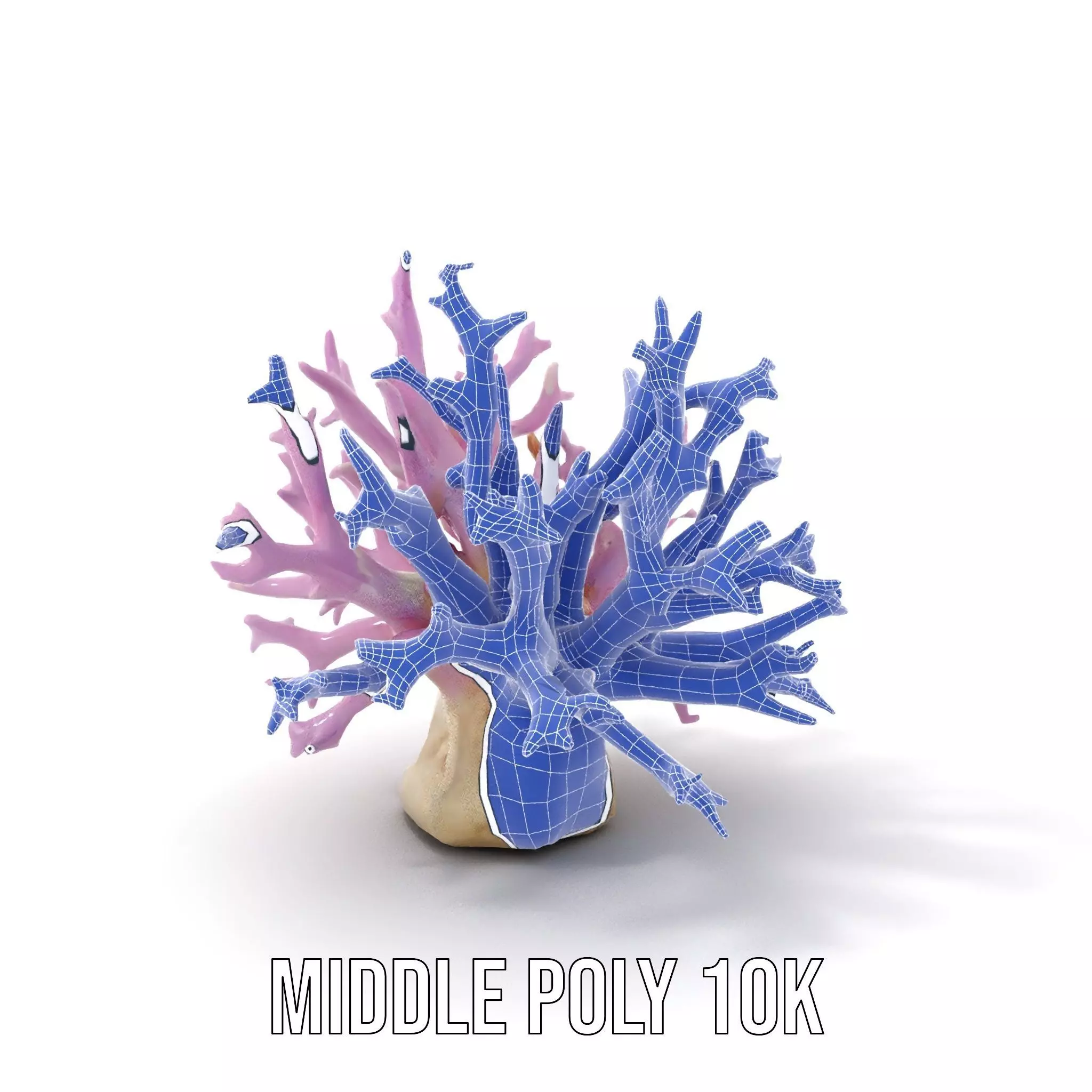 Vibrant Coral Reef model pack Low-poly 3D model_26