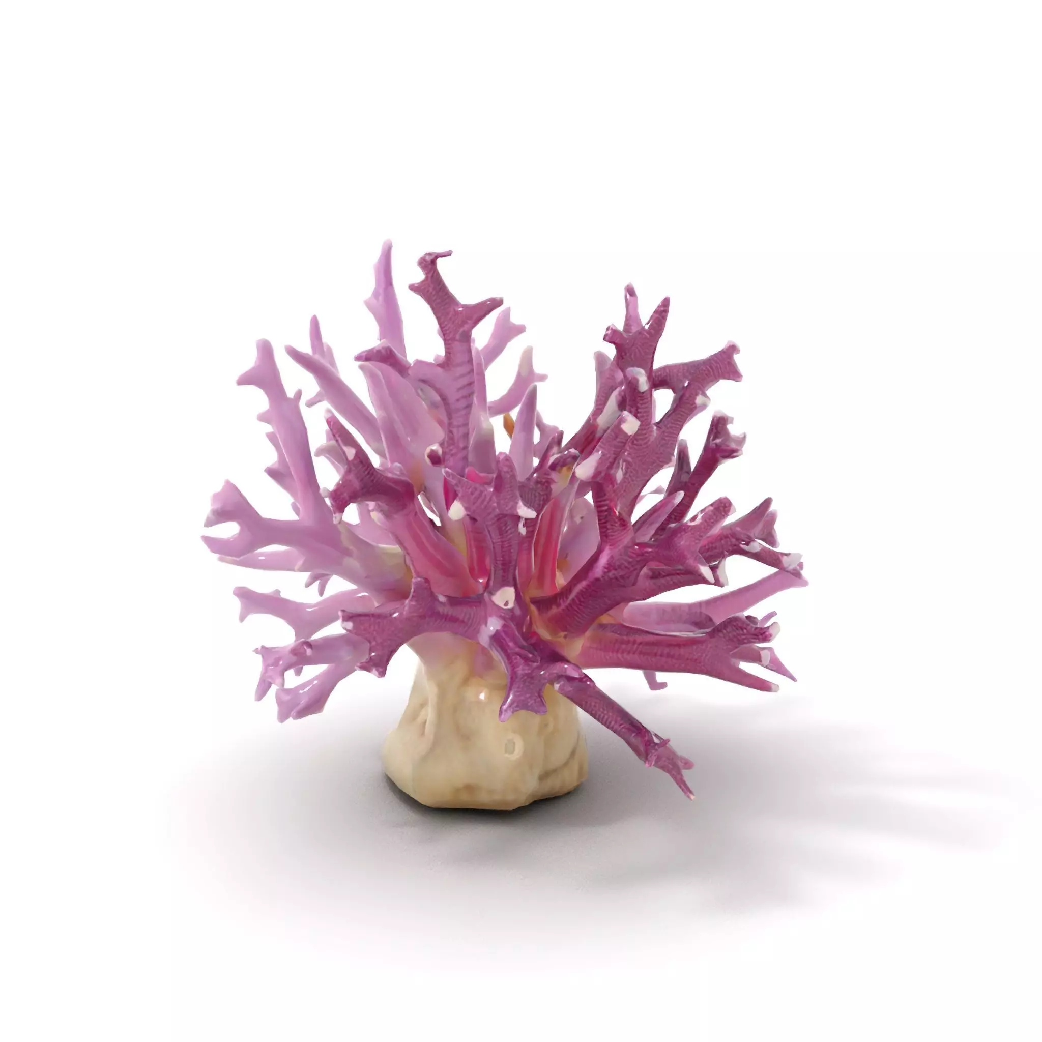 Vibrant Coral Reef model pack Low-poly 3D model_11