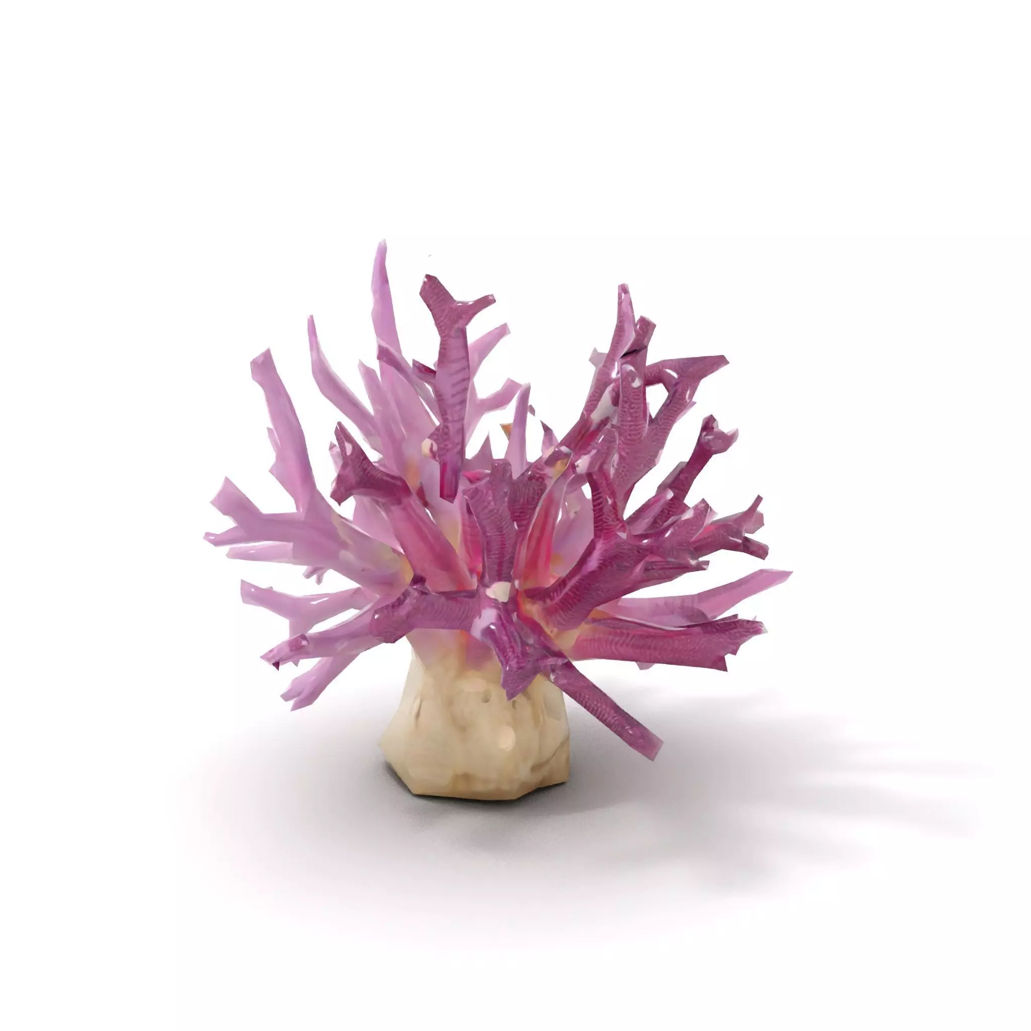 Vibrant Coral Reef model pack Low-poly 3D model_9