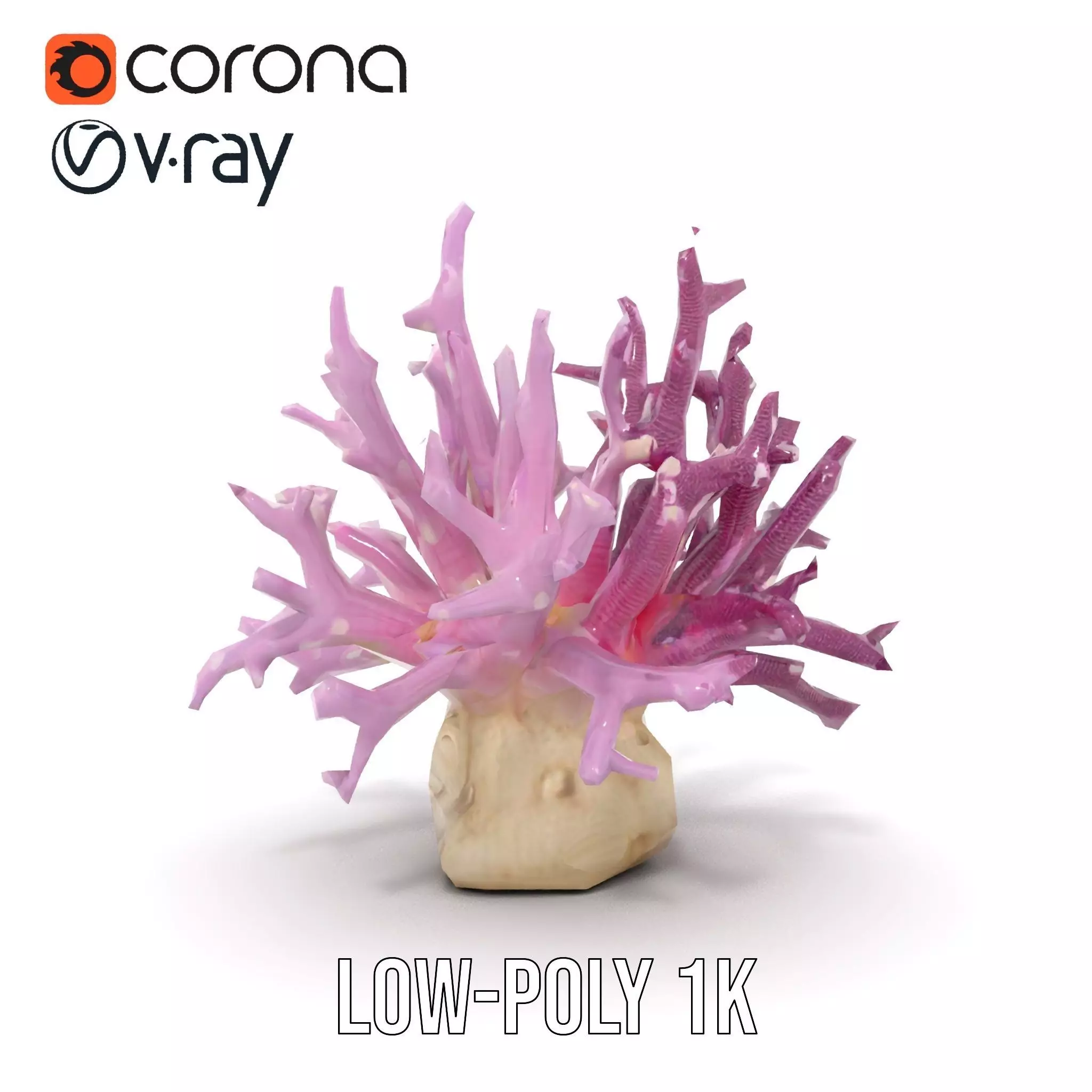 Vibrant Coral Reef model pack Low-poly 3D model_19