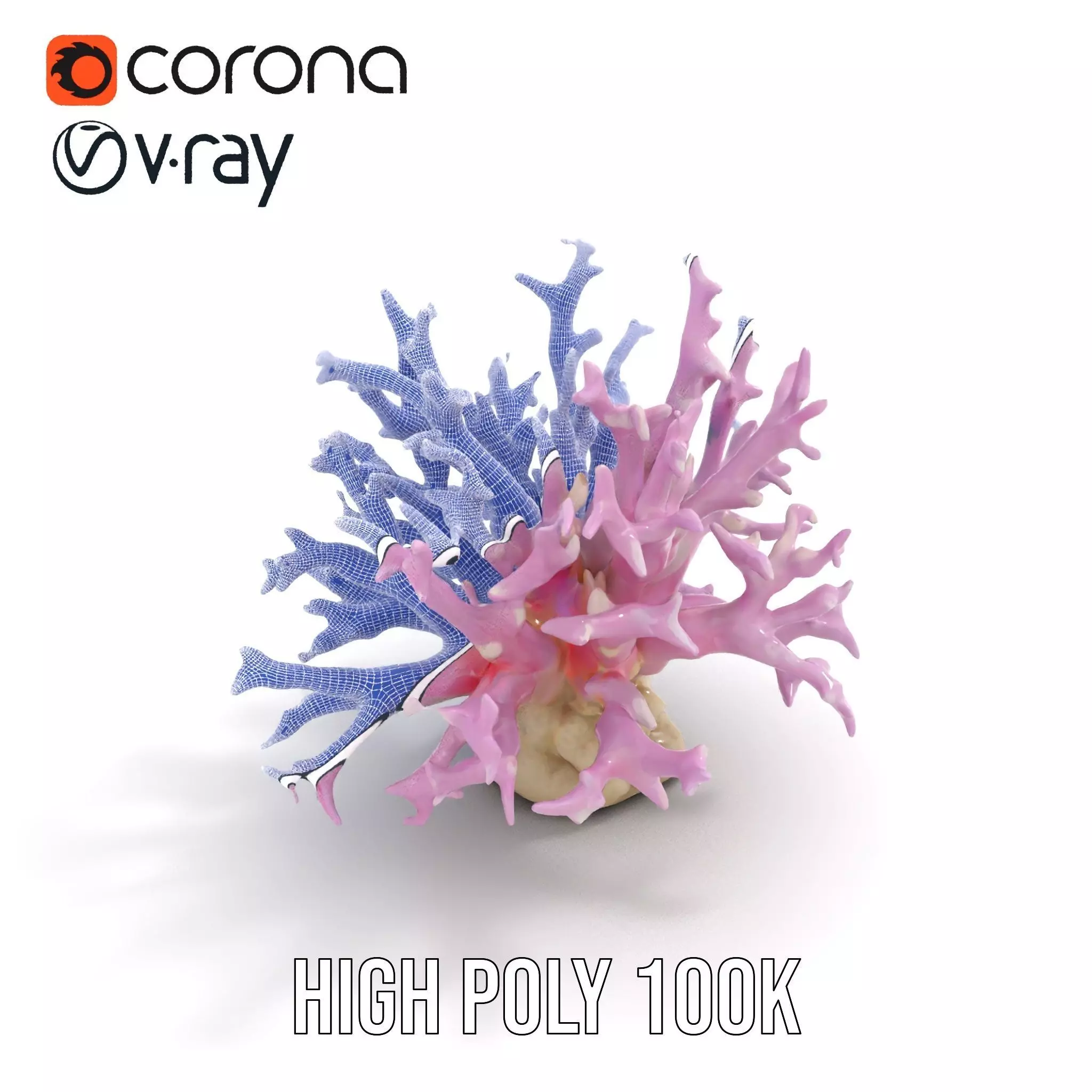 Vibrant Coral Reef model pack Low-poly 3D model_23