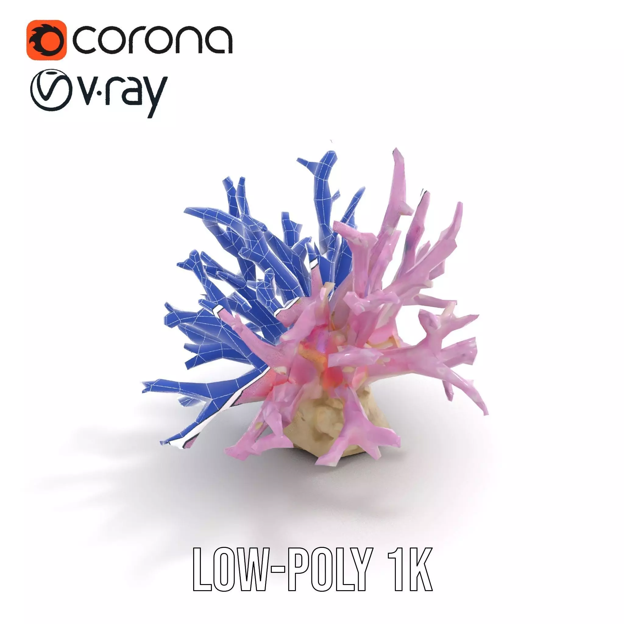 Vibrant Coral Reef model pack Low-poly 3D model_25