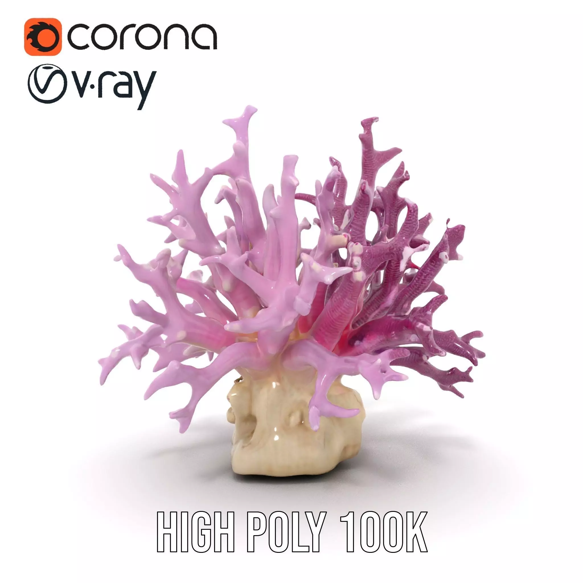 Vibrant Coral Reef model pack Low-poly 3D model_32