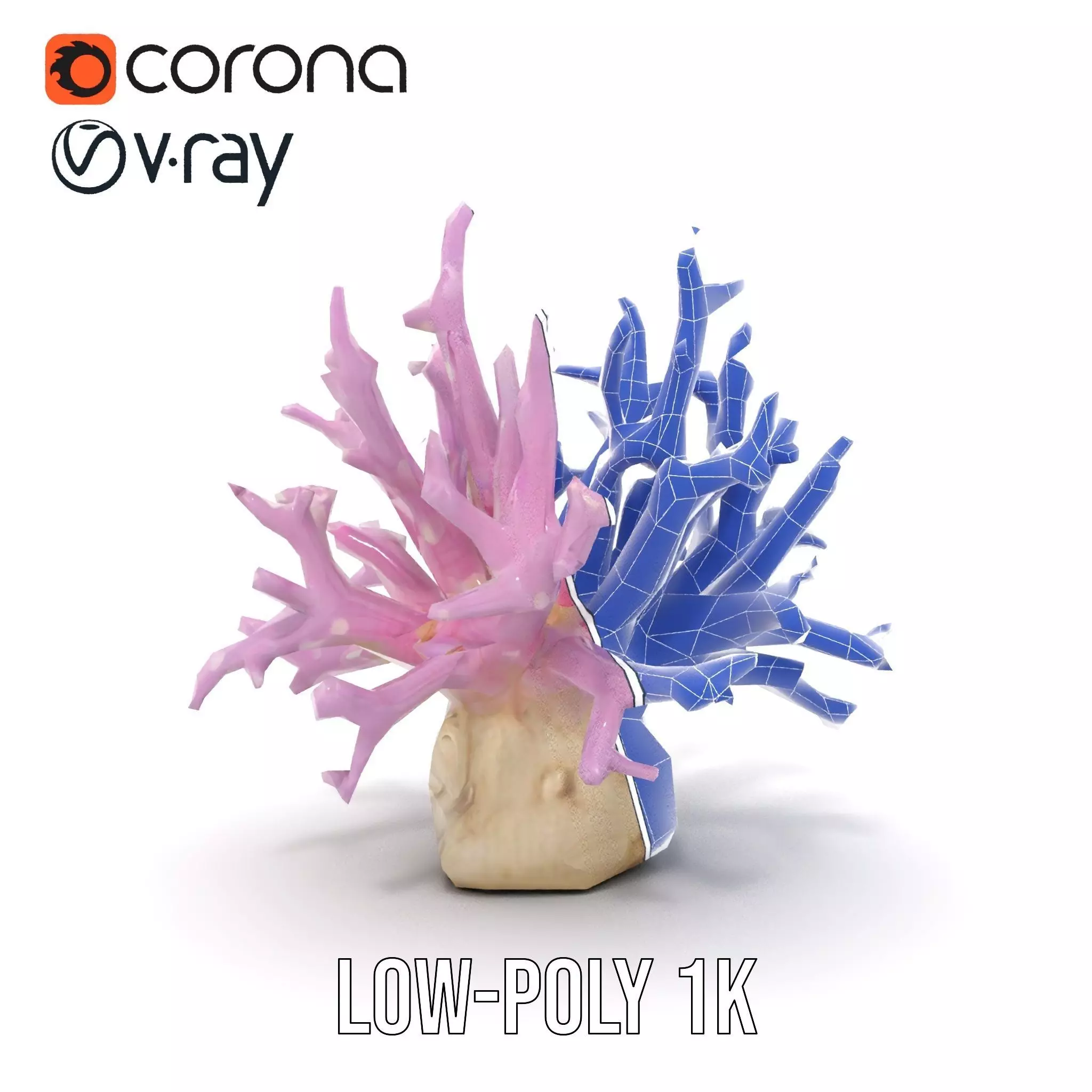 Vibrant Coral Reef model pack Low-poly 3D model_30