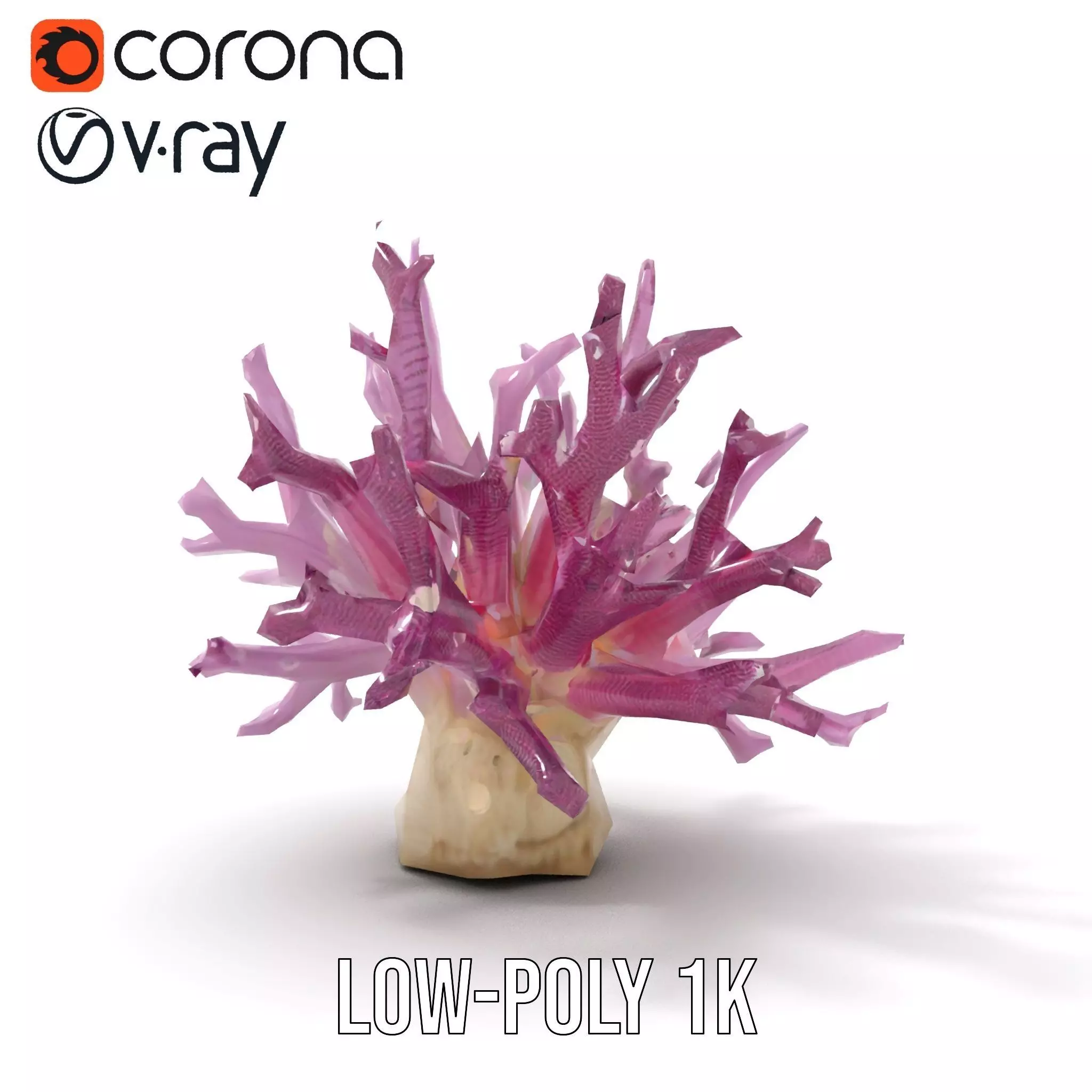 Vibrant Coral Reef model pack Low-poly 3D model_15