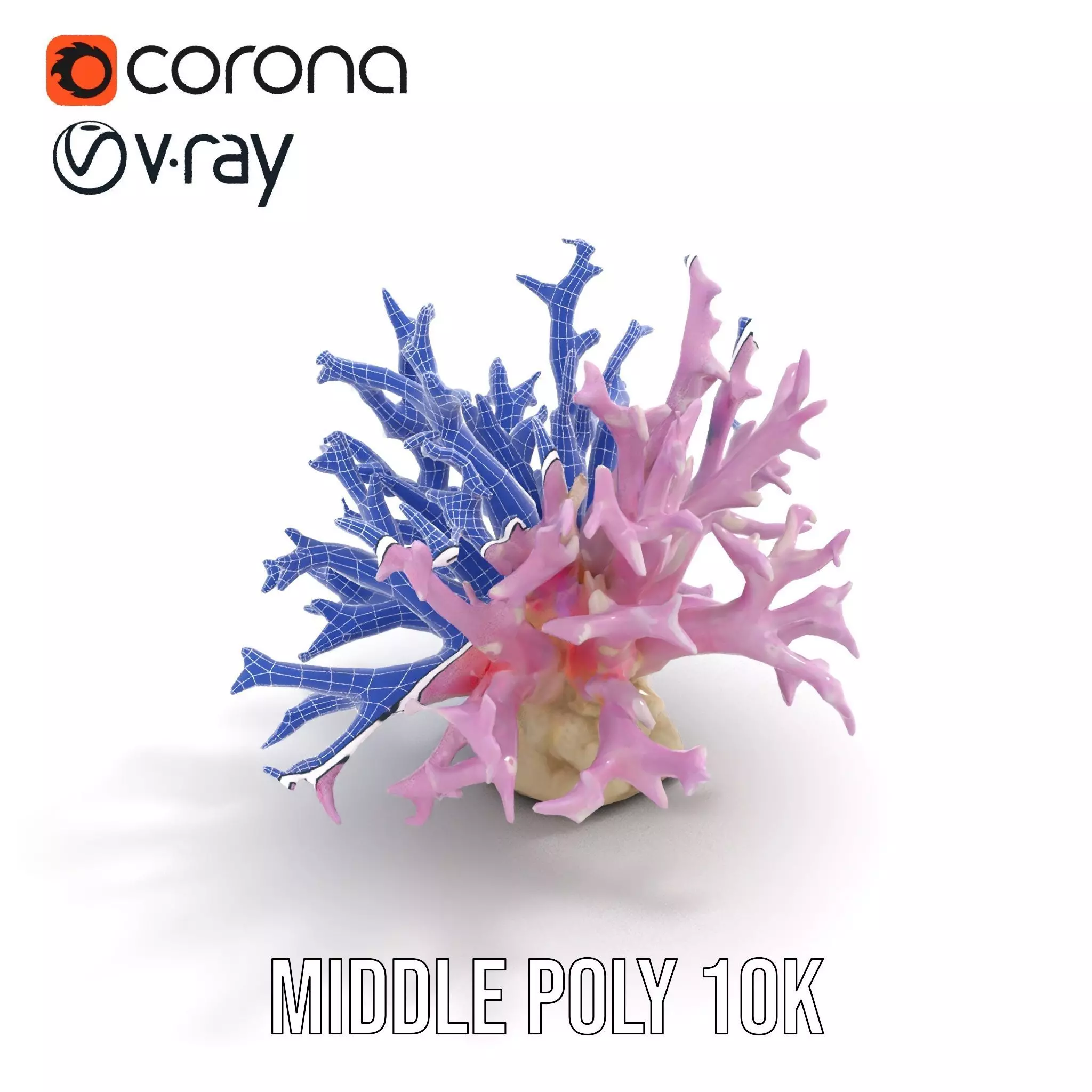 Vibrant Coral Reef model pack Low-poly 3D model_24
