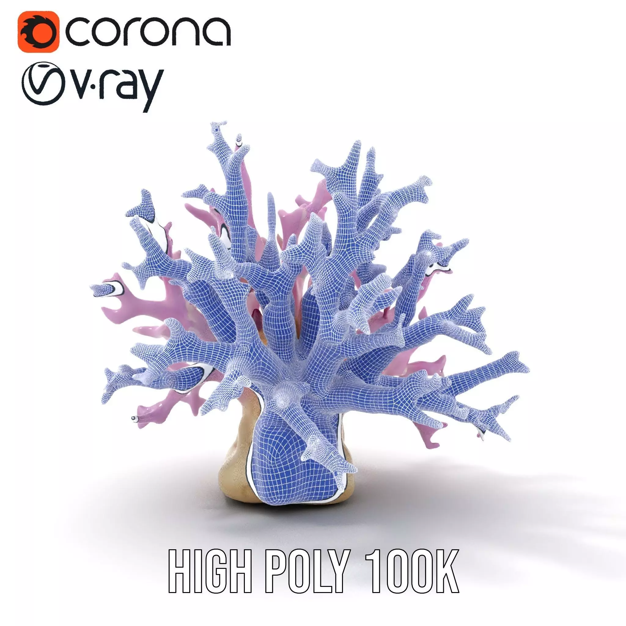 Vibrant Coral Reef model pack Low-poly 3D model_34