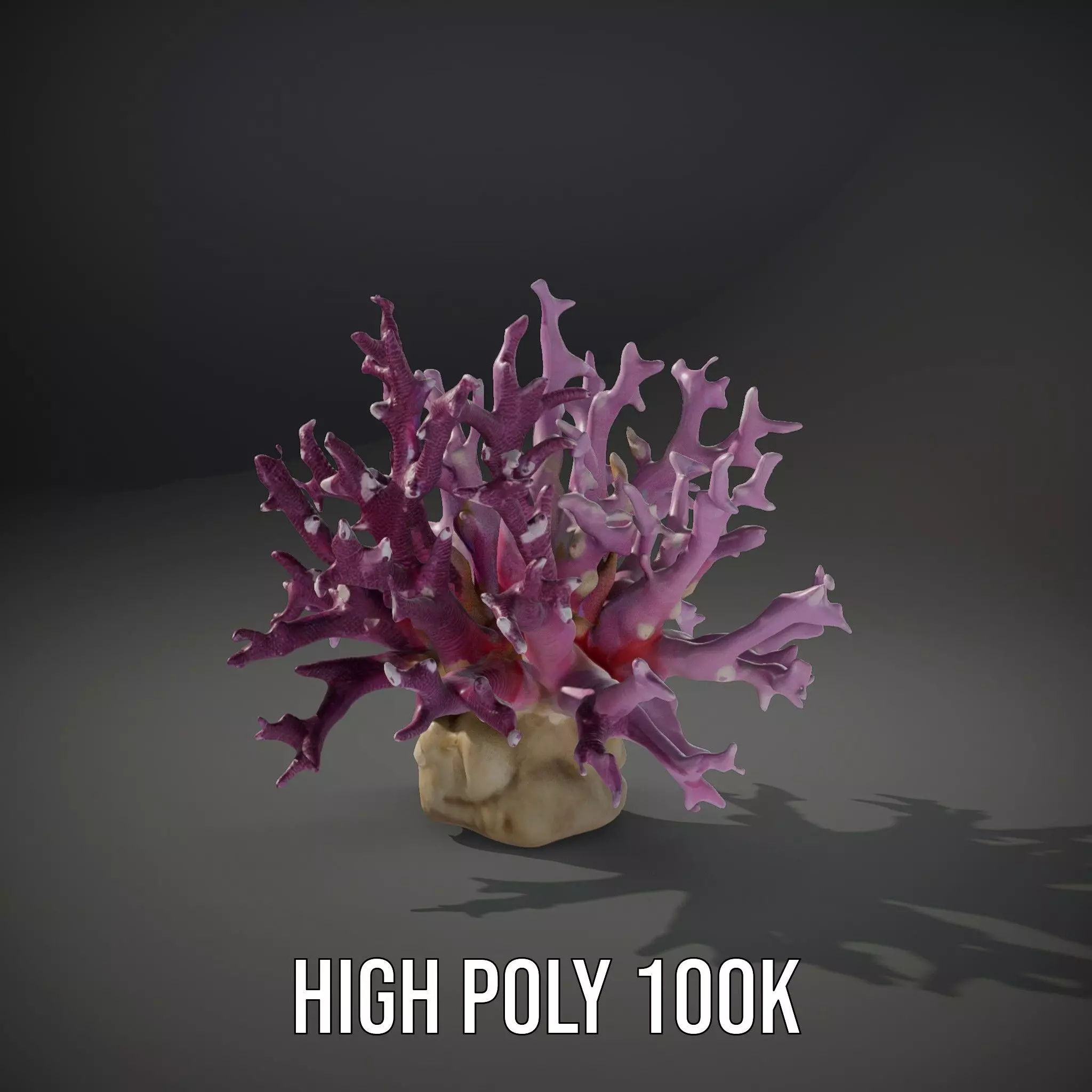 Vibrant Coral Reef model pack Low-poly 3D model_8