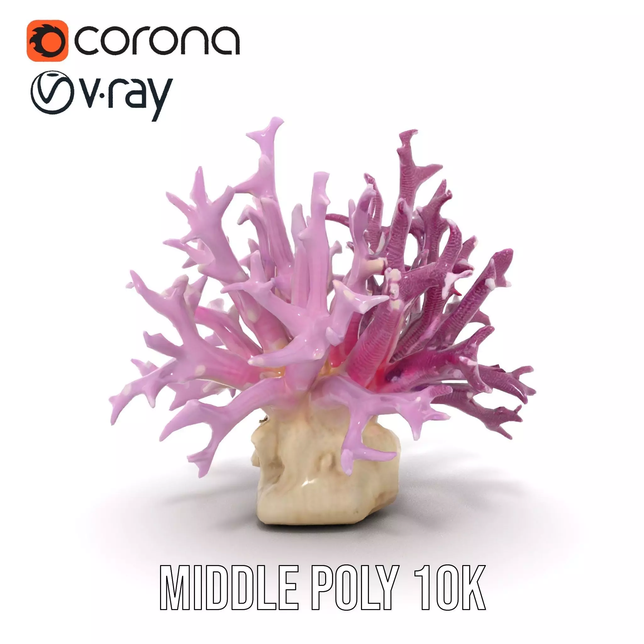 Vibrant Coral Reef model pack Low-poly 3D model_21