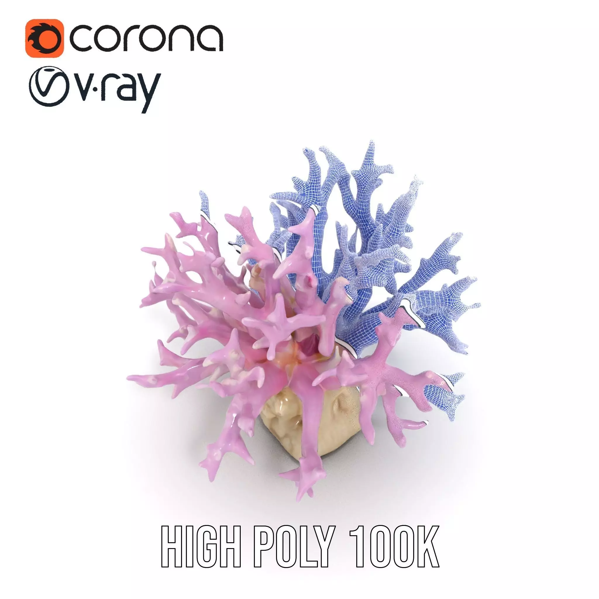 Vibrant Coral Reef model pack Low-poly 3D model_28