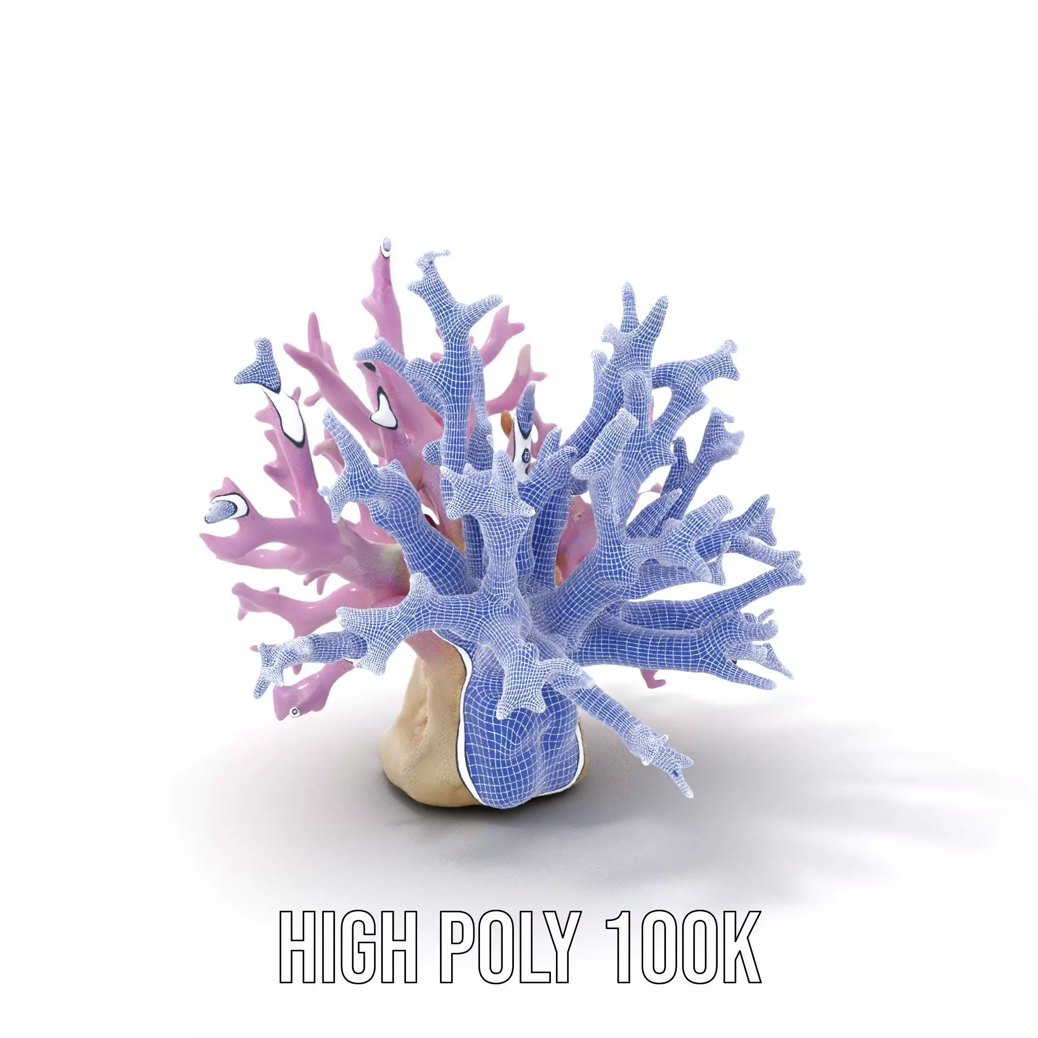 Vibrant Coral Reef model pack Low-poly 3D model_4