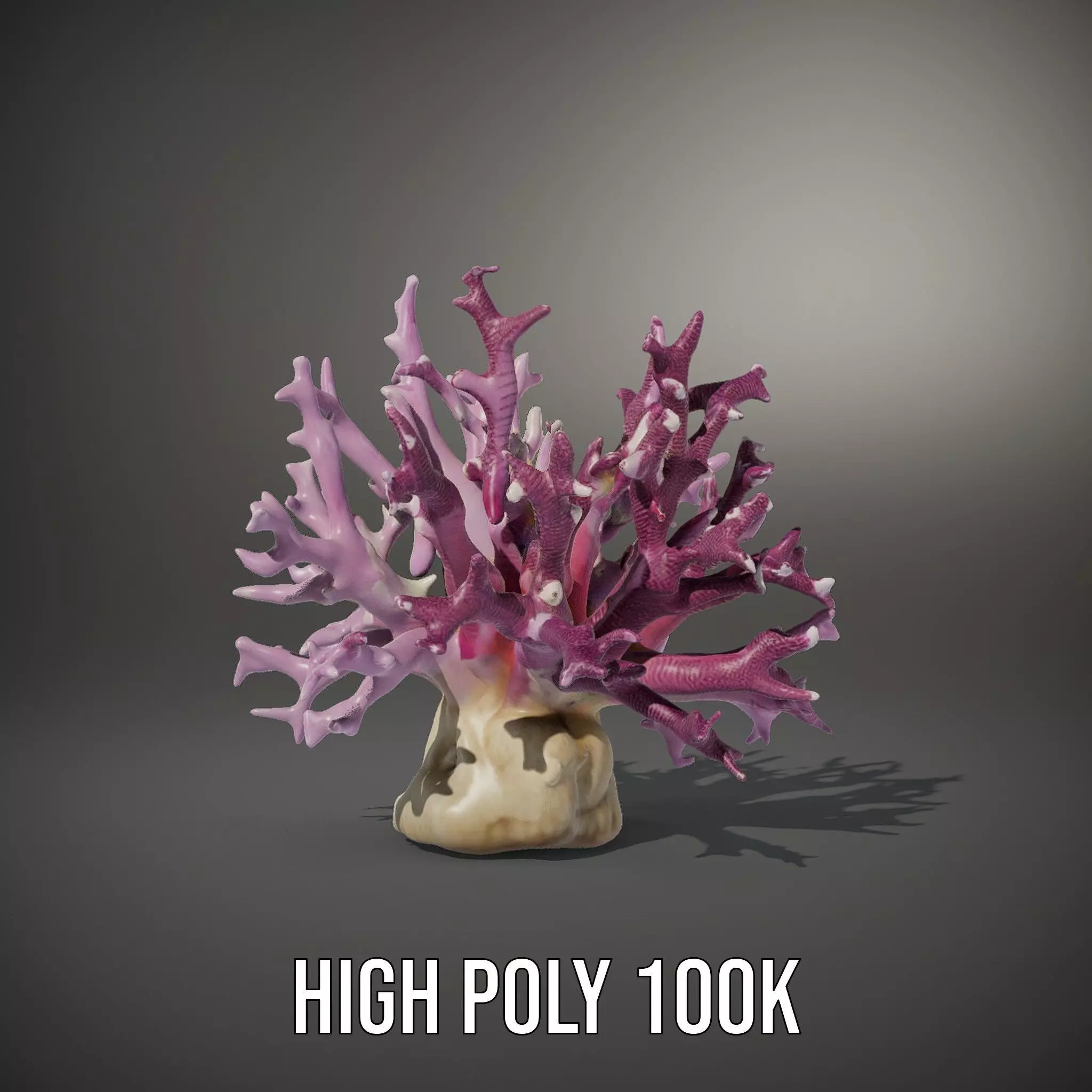Vibrant Coral Reef model pack Low-poly 3D model_10
