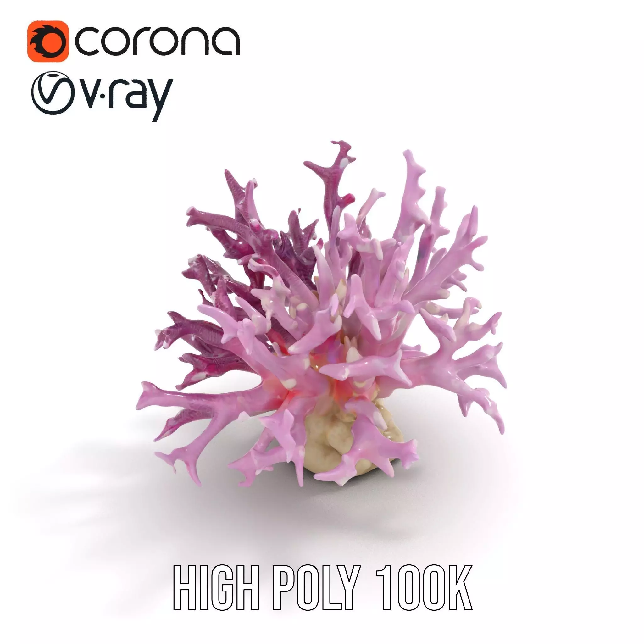 Vibrant Coral Reef model pack Low-poly 3D model_13