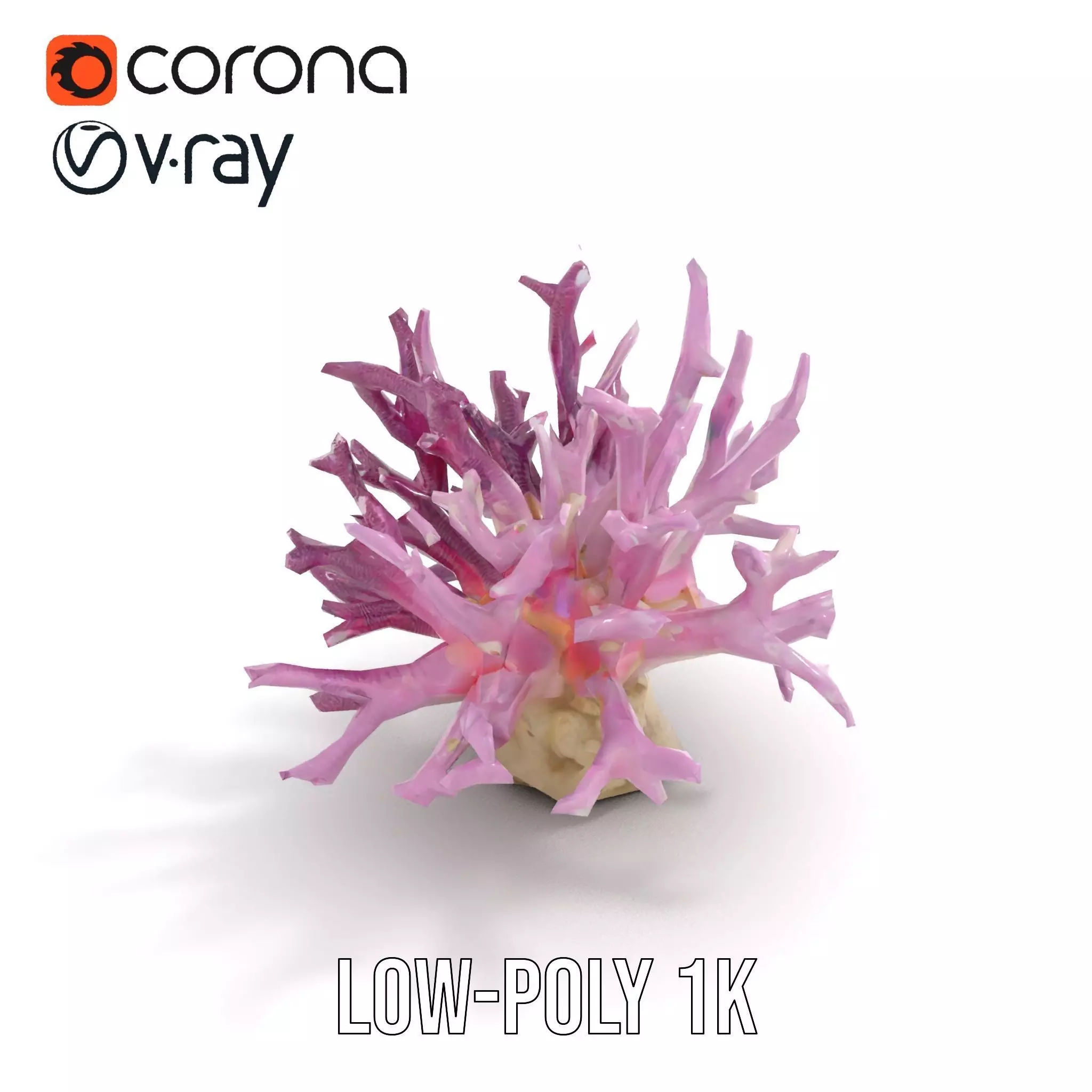 Vibrant Coral Reef model pack Low-poly 3D model_7