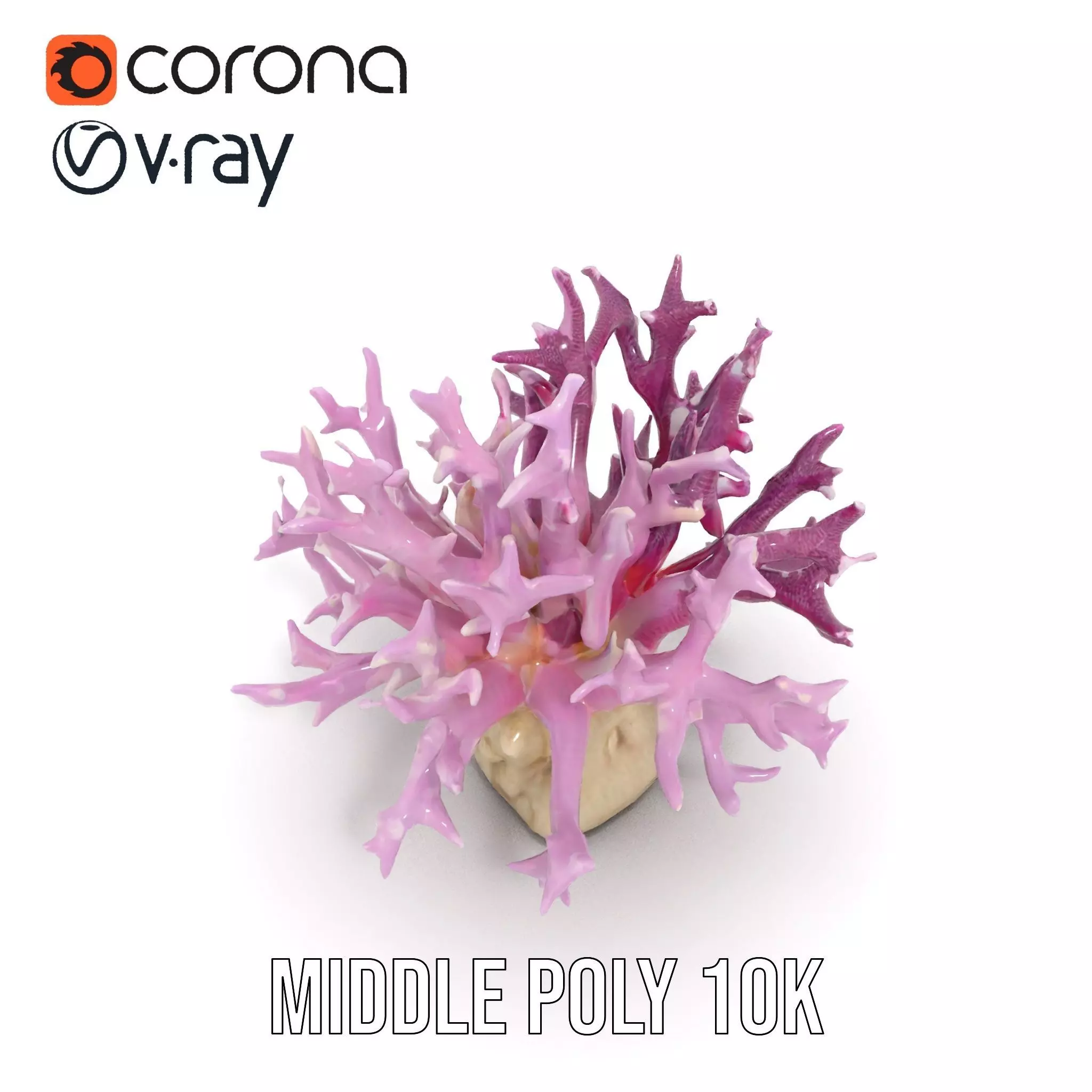 Vibrant Coral Reef model pack Low-poly 3D model_14