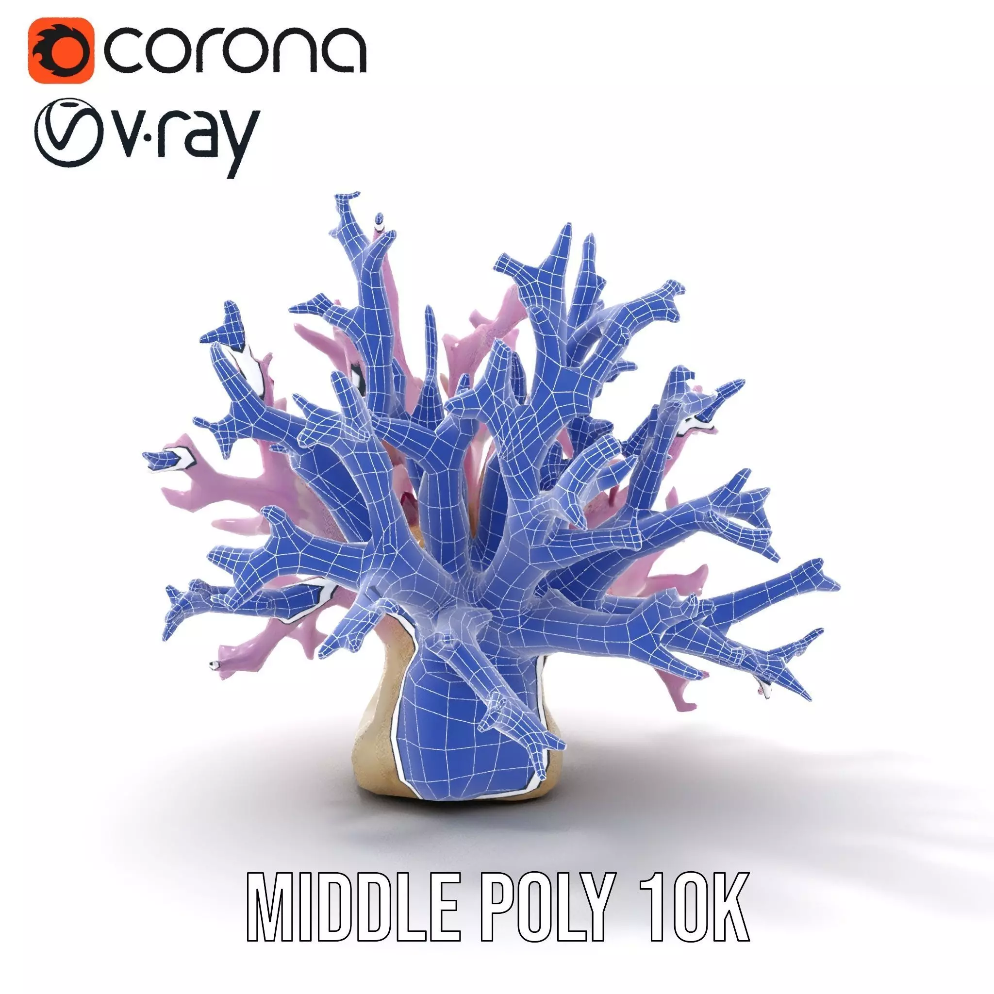 Vibrant Coral Reef model pack Low-poly 3D model_18