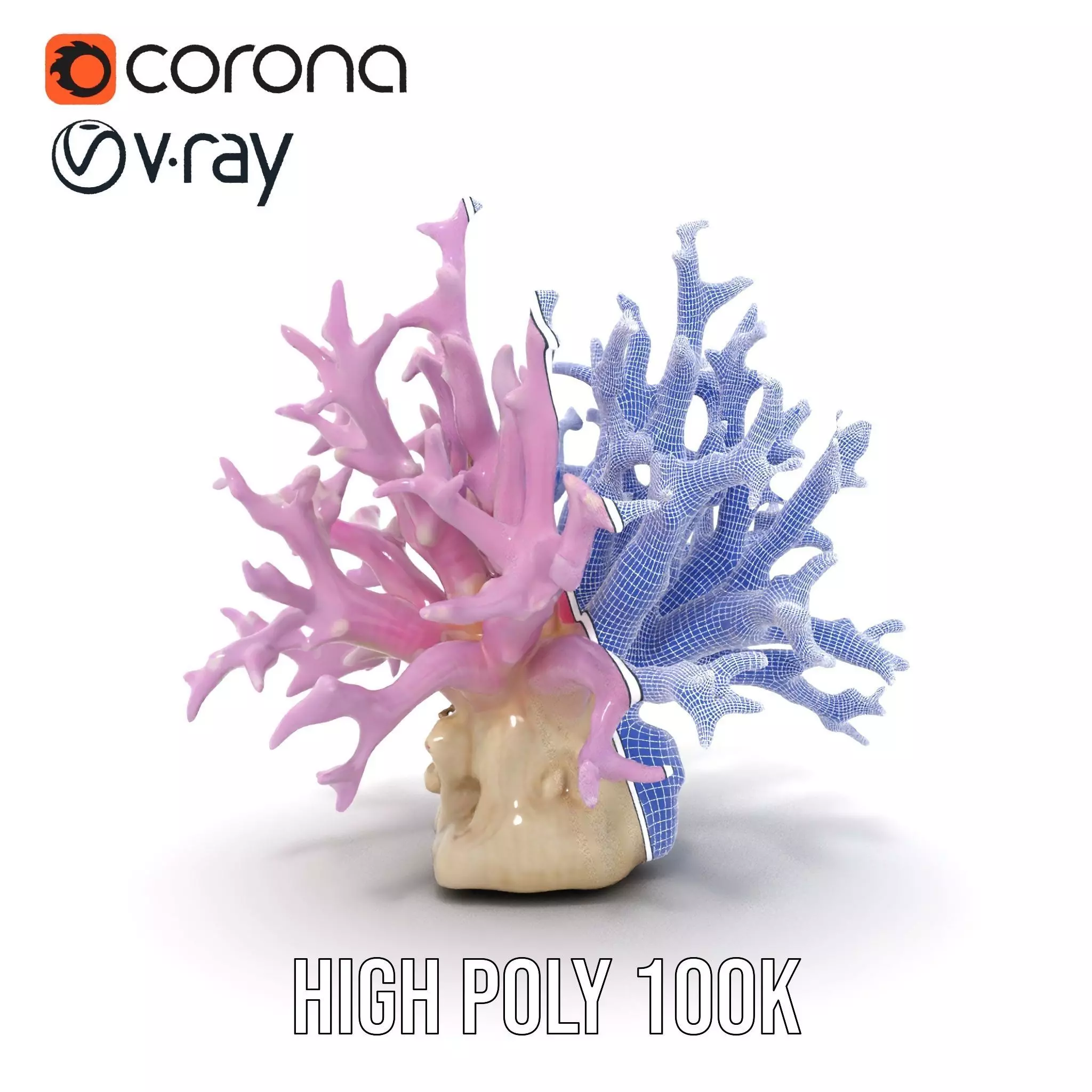 Vibrant Coral Reef model pack Low-poly 3D model_33